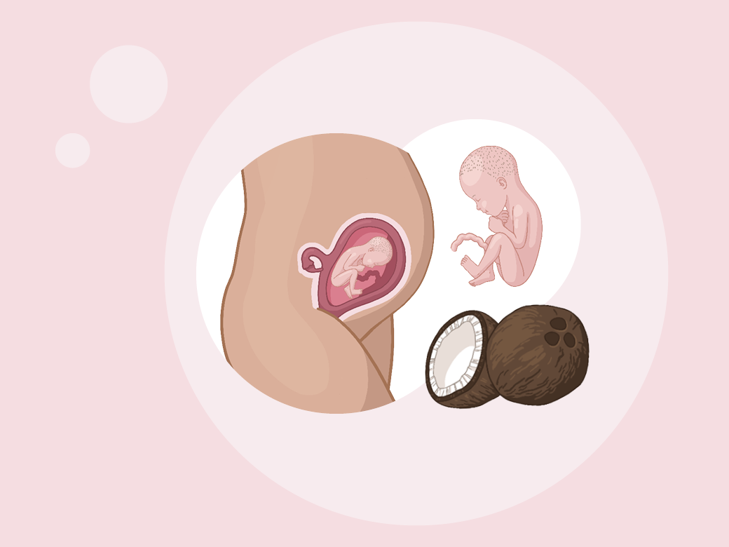 Illustration eine eines kindes im mutterleib und eines erwachsenen im.