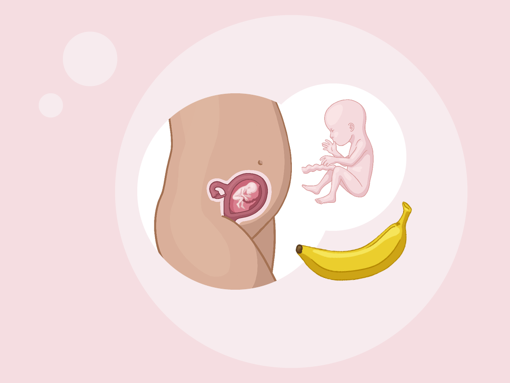 Baby ein im mutterleib mit einer banane daneben.