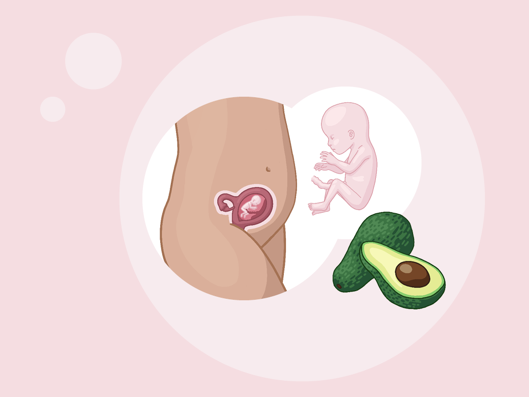 Illustration eine eines kindes im mutterleib und einer avoca.