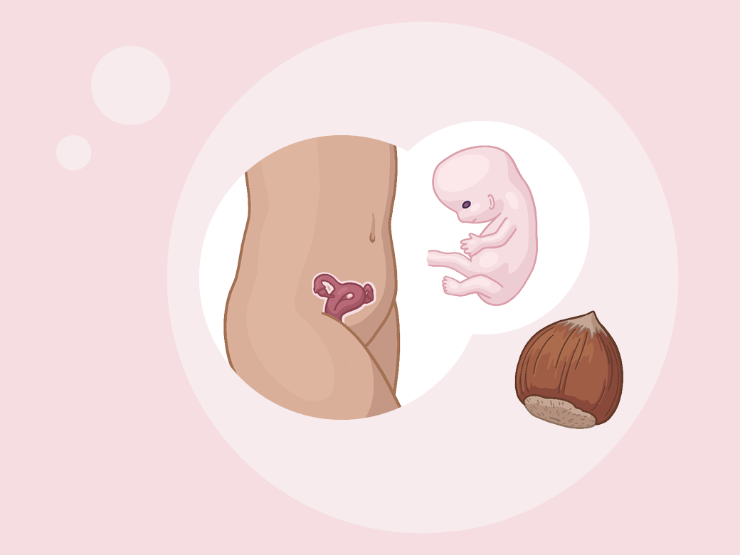 Illustration eine eines kindes im mutterleib.
