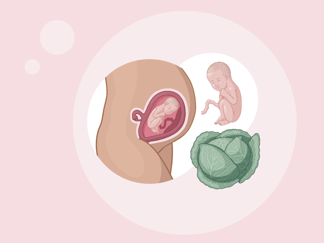 Baby ein im mutterleib und eine mutter im mutterleib.
