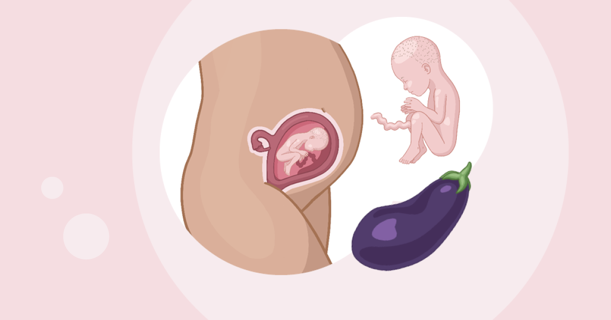Baby ein im mutterleib und ein ei im mutterleib.