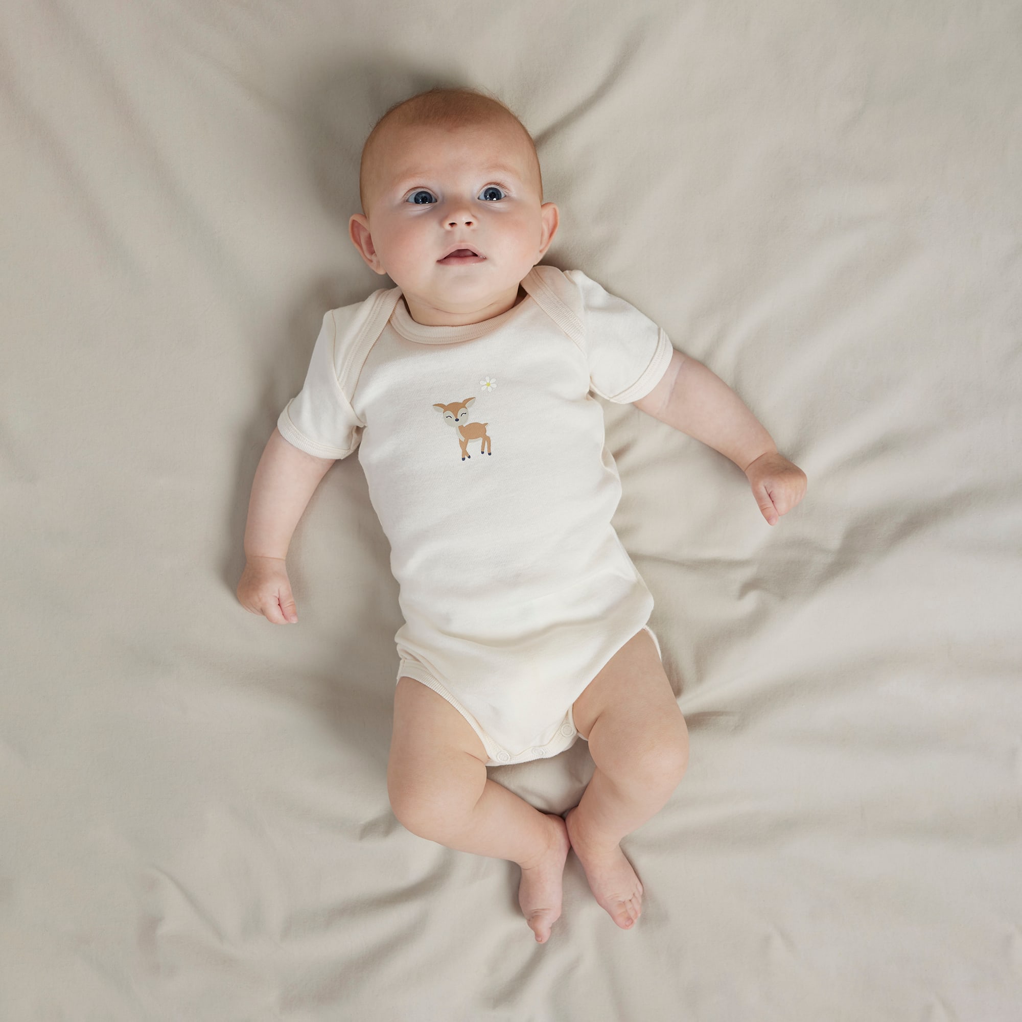 Kurzarmbodys, name it, Lila – Produktansicht