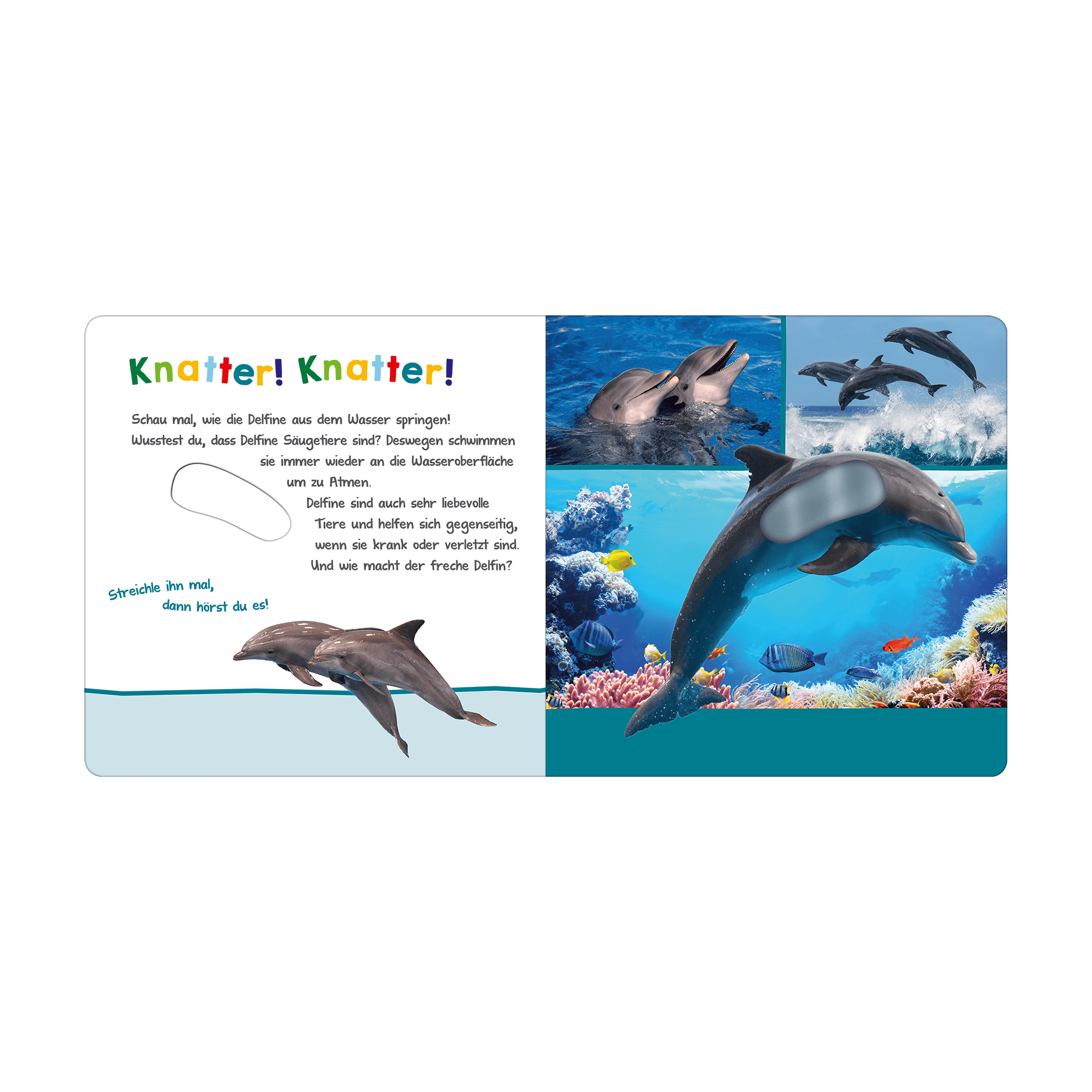 Produkte, arsEdition – Besonderheit: mit hochwertigen Soundmodulen