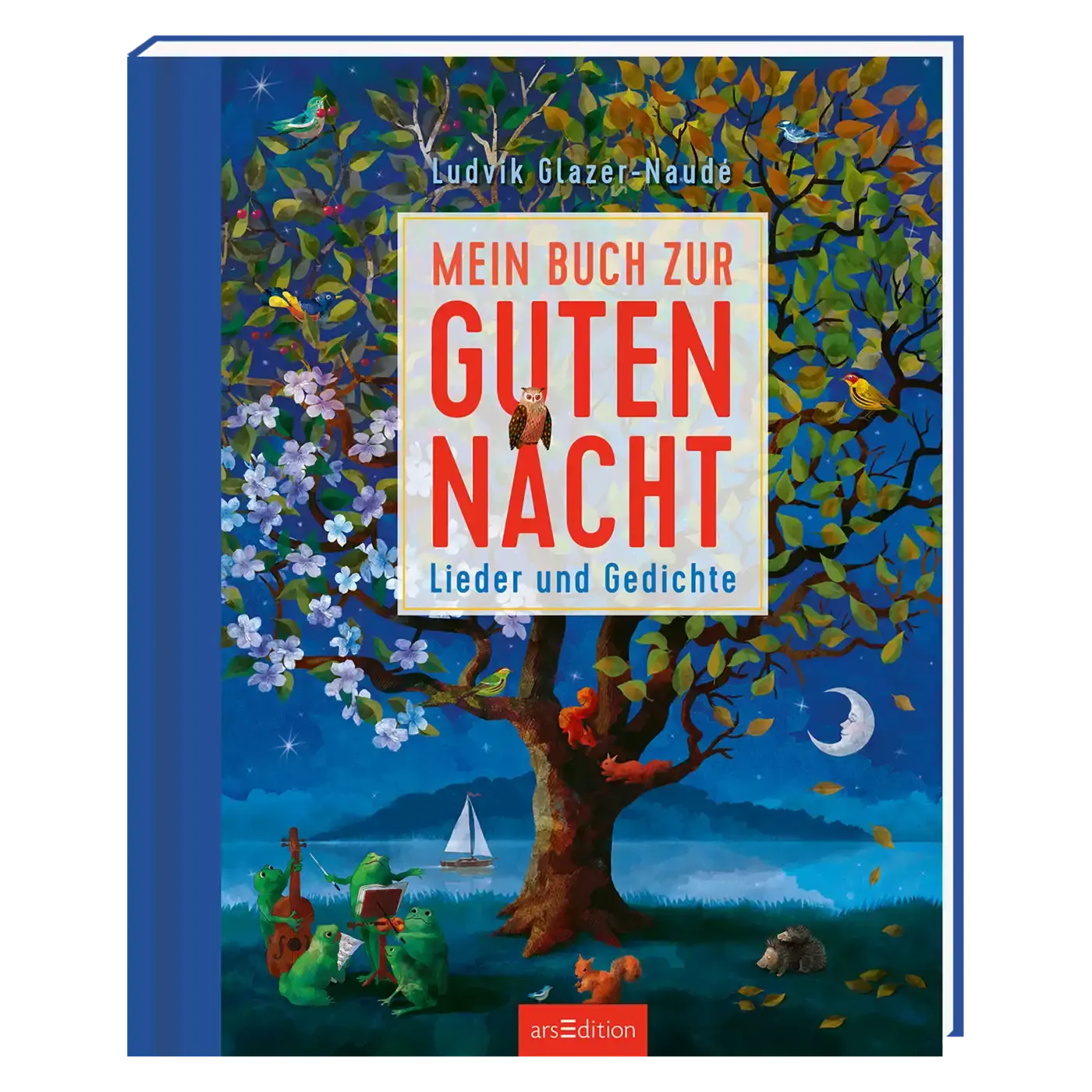 Mein großes Buch zur Guten Nacht arsEdition Blau 2000582216200 1