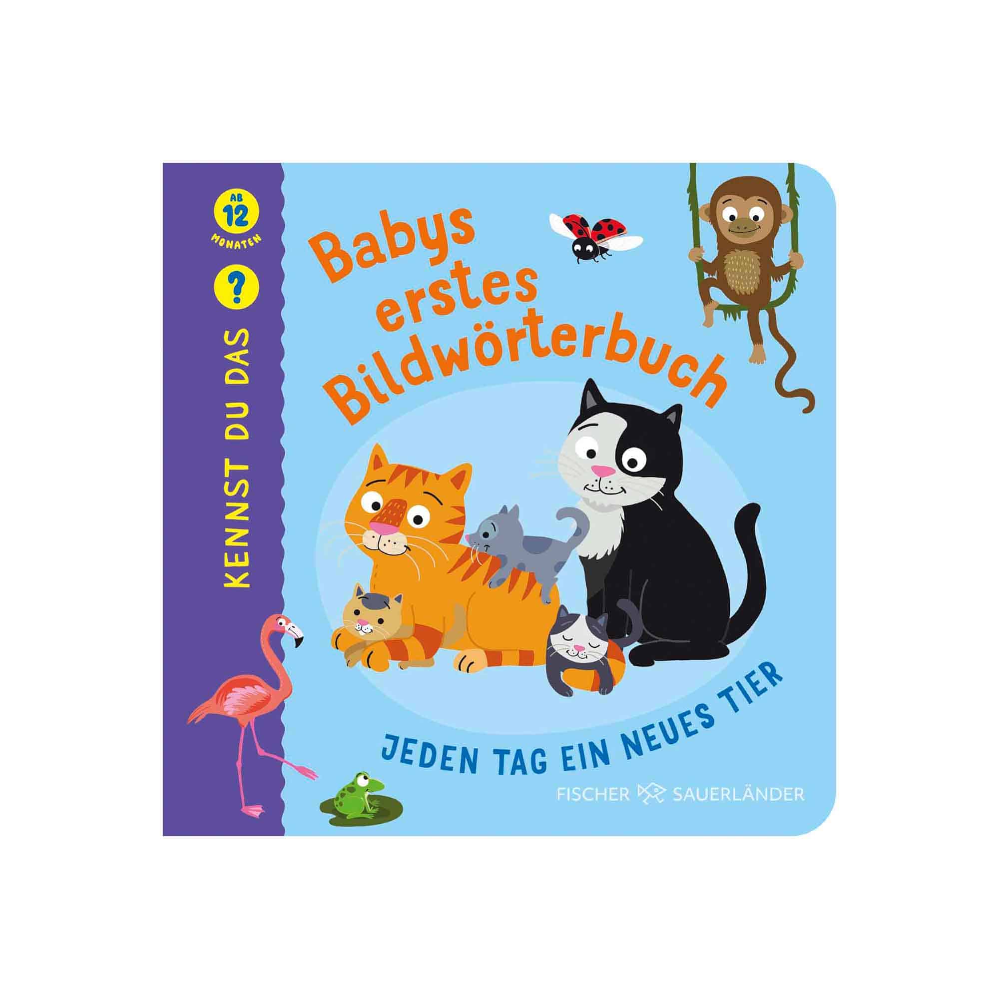 Sauerl. Verlag, Blau – Besonderheit: interaktives Wörterbuch
