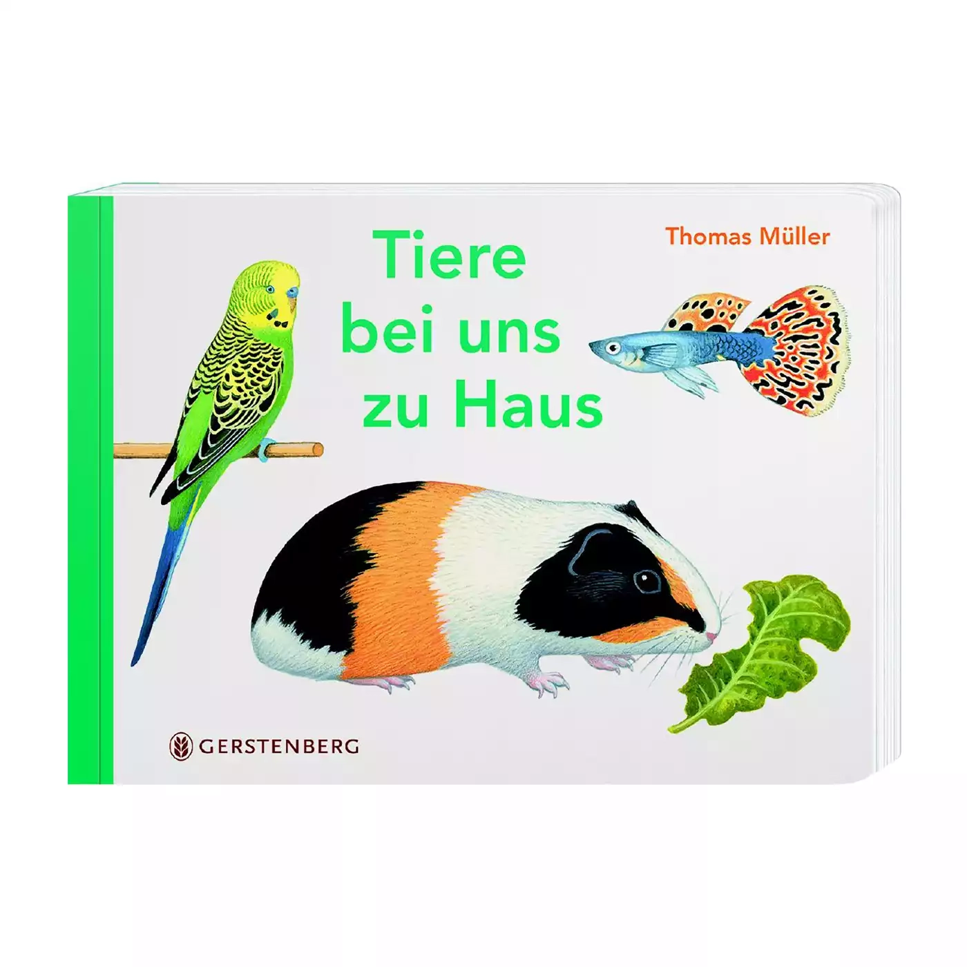 Kinderbücher, Gerstenberg, Mehrfarbig – Produktansicht
