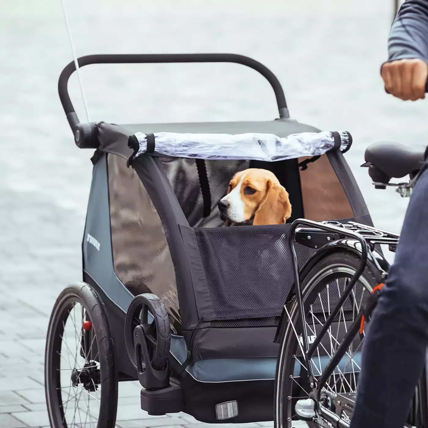 Hundeanhänger, THULE, Schwarz – Besonderheit: zum Radfahren und spazieren gehen mit dem Hund

