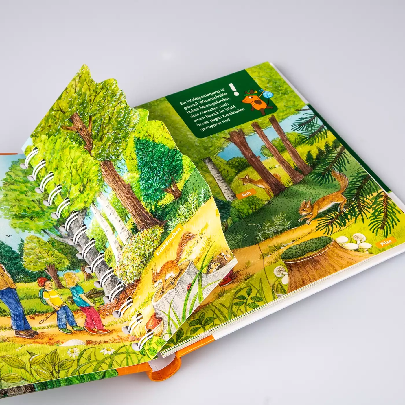 Kinderbücher, CARLSEN, Grün – Produktansicht