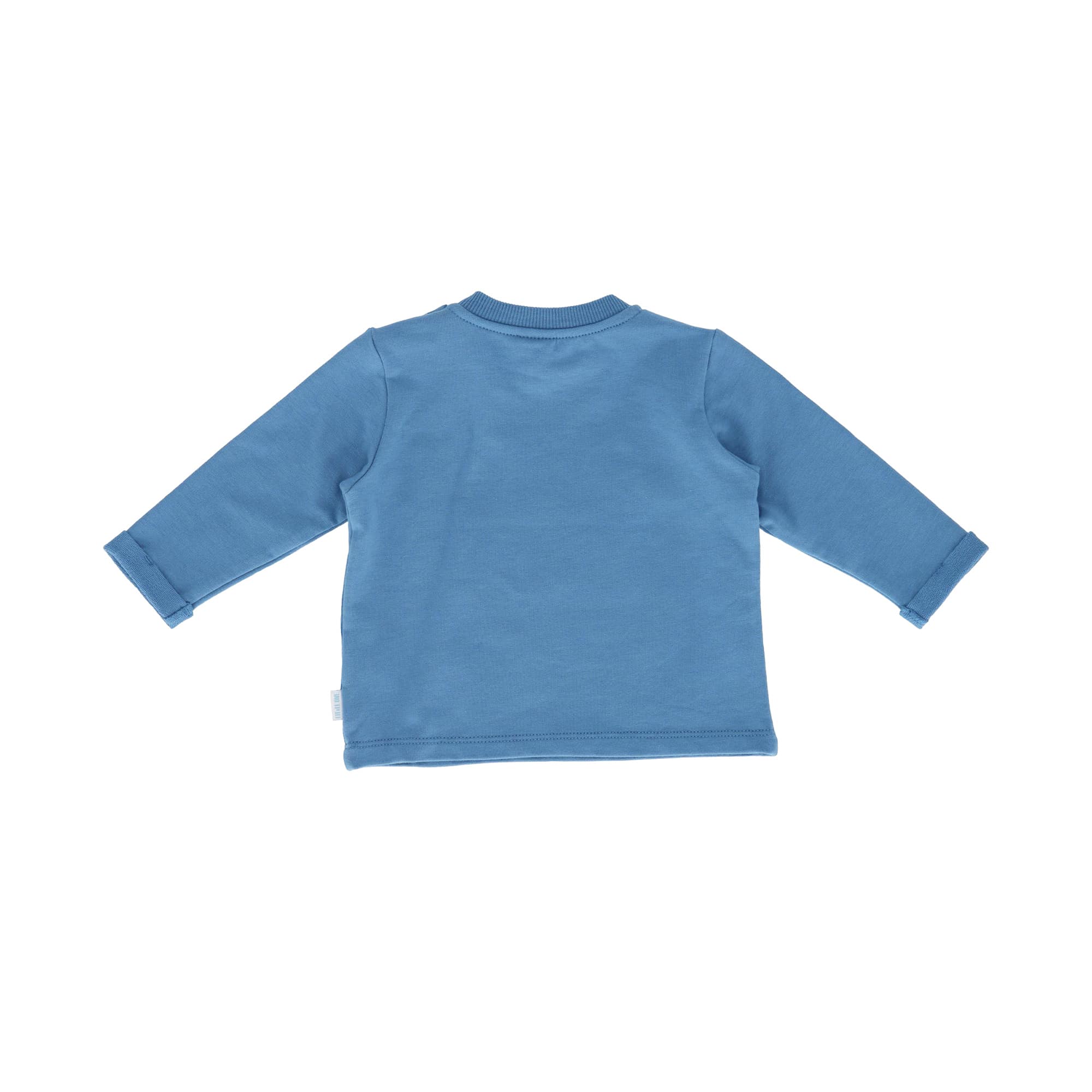 Langarmshirts, LITTLE ONE, Blau – Besonderheit: aus 95% Baumwolle