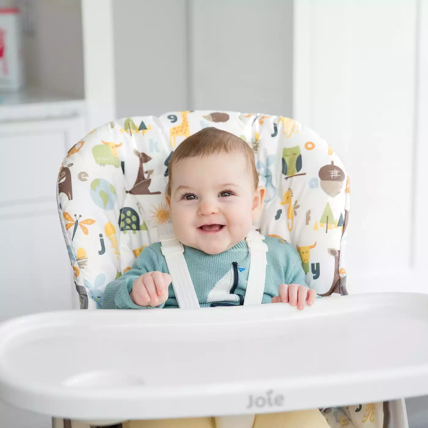 Klapphochstühle, Joie – Produktansicht