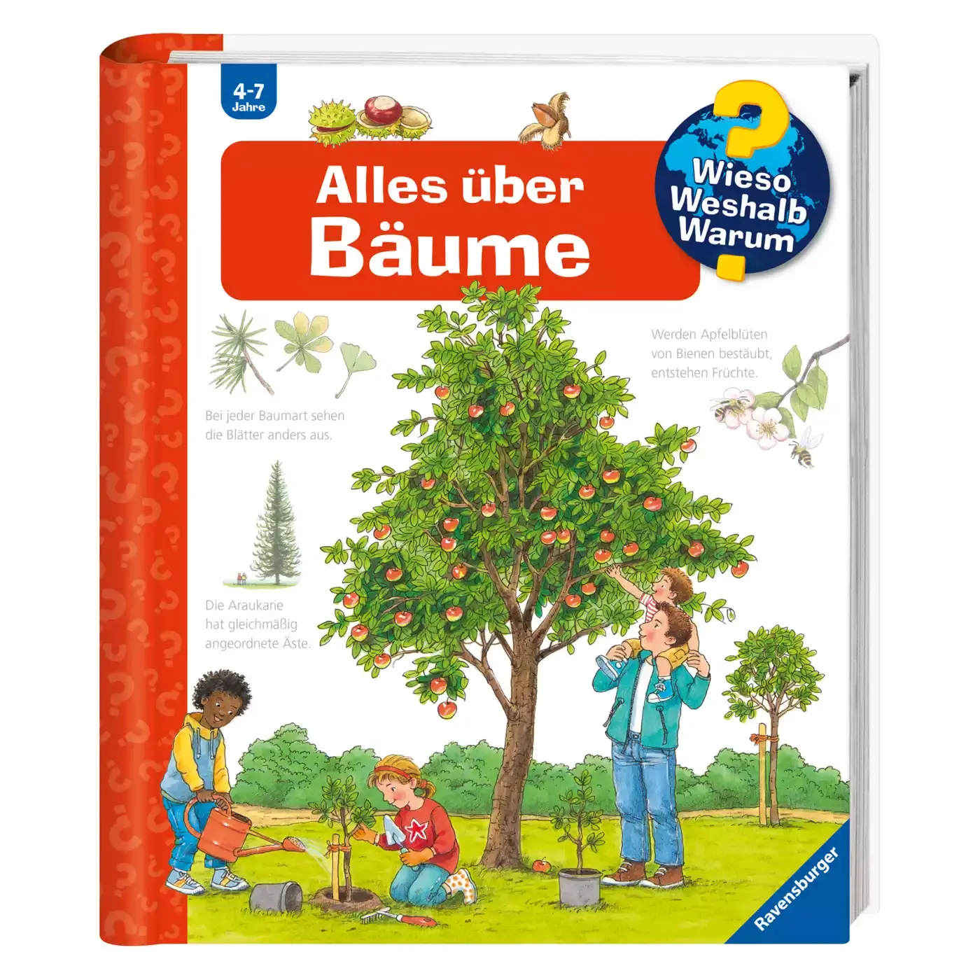 WWW Alles über Bäume Ravensburger 2000579932106 3