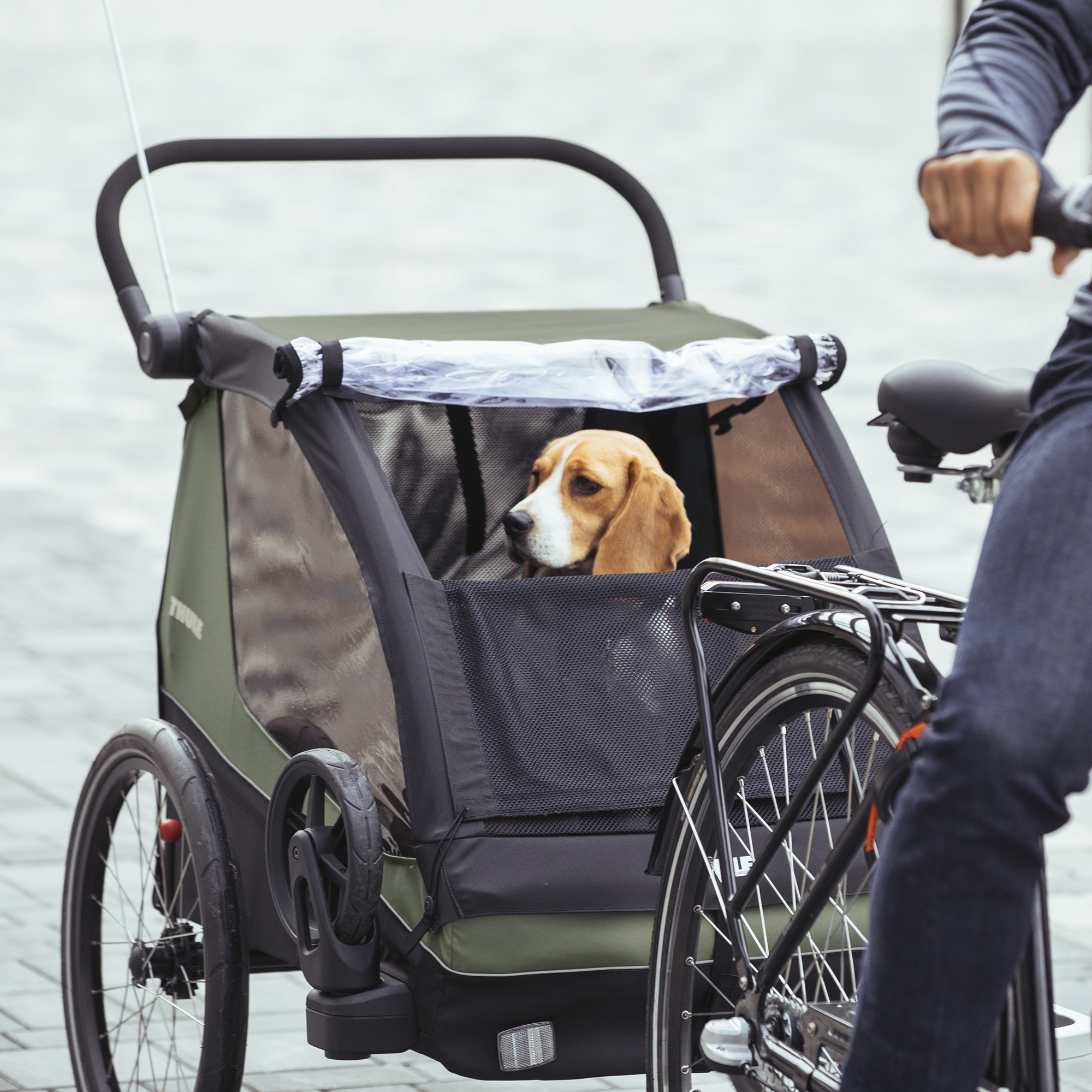 Fahrradanhänger, THULE, Grün – Produktansicht