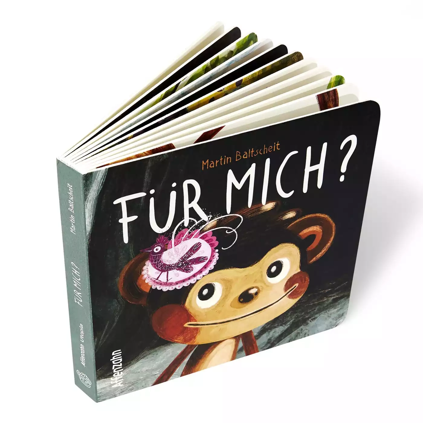 Kinderbücher, Affenzahn, Mehrfarbig – Produktansicht