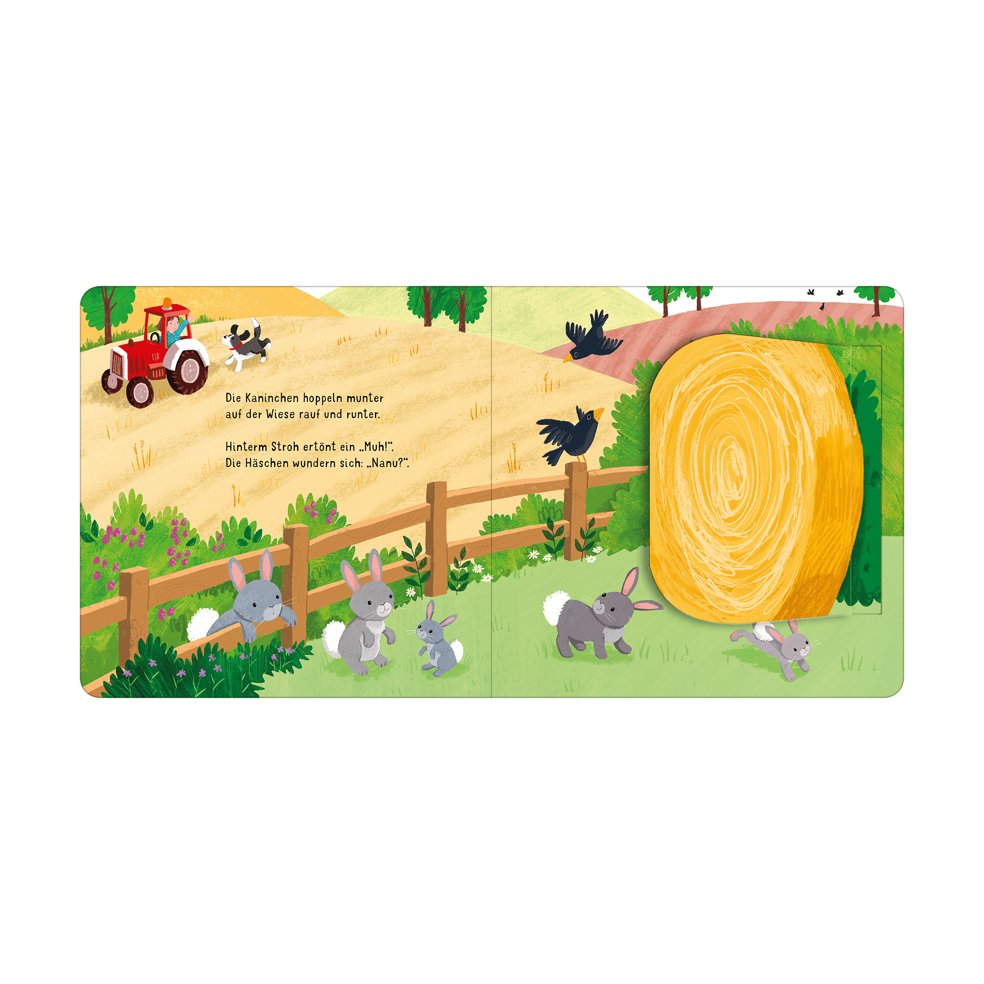 Bilderbücher, arsEdition – Produktansicht