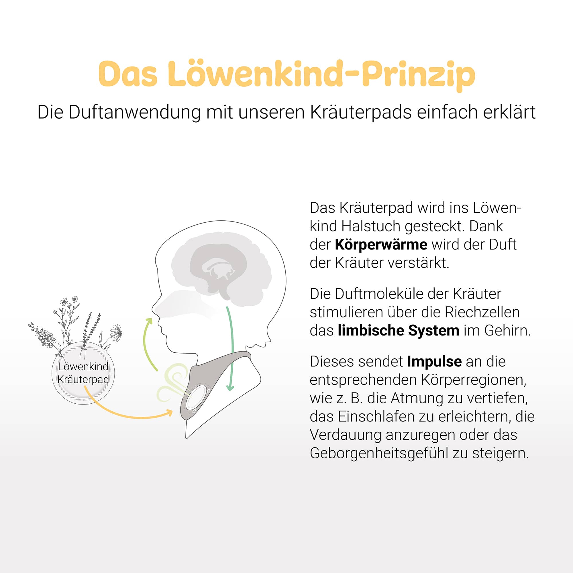 Produkte, Löwenkind, Grau – Produktansicht