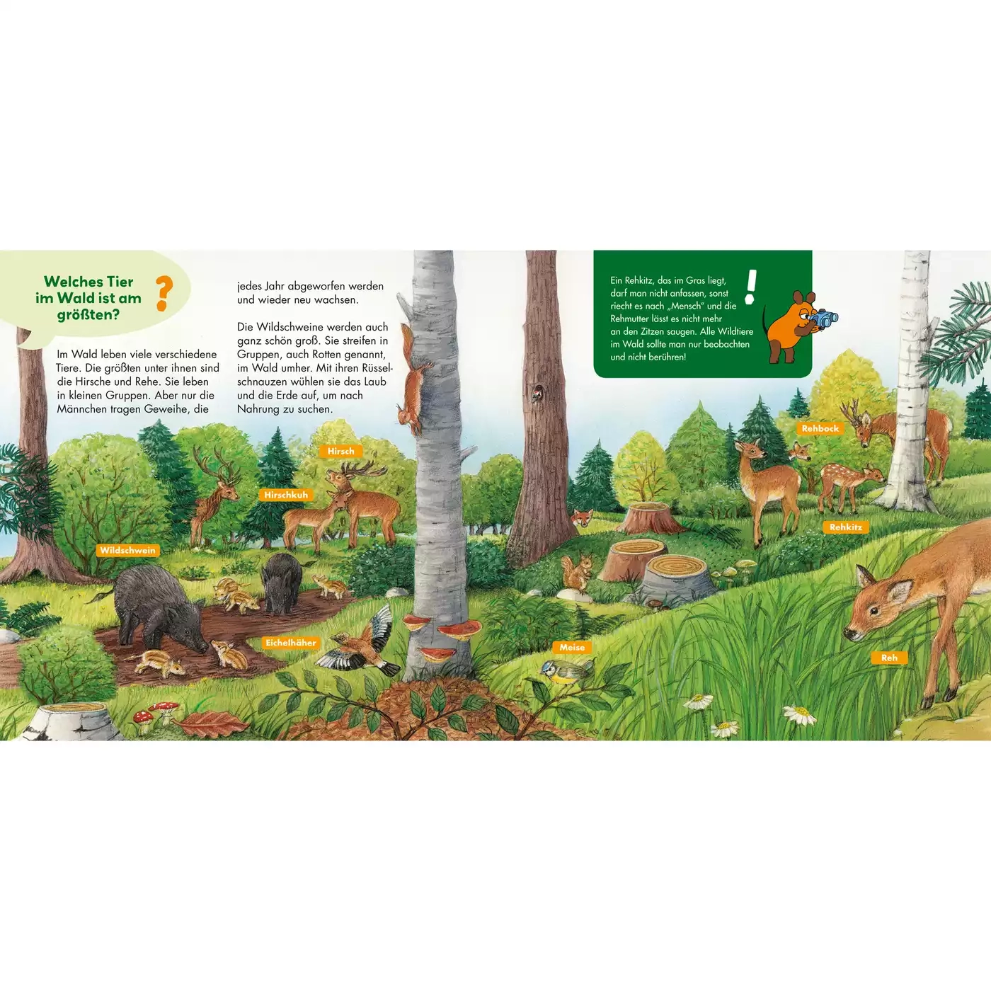 Kinderbücher, CARLSEN, Grün – Produktansicht