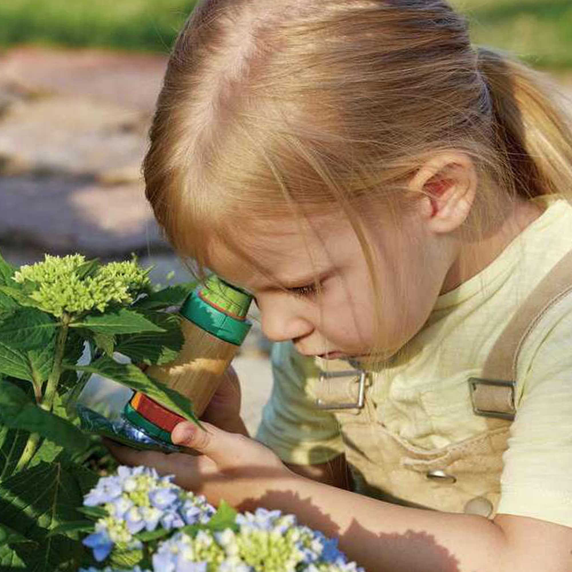 Lernspielzeug, Hape, Grün – Produktansicht