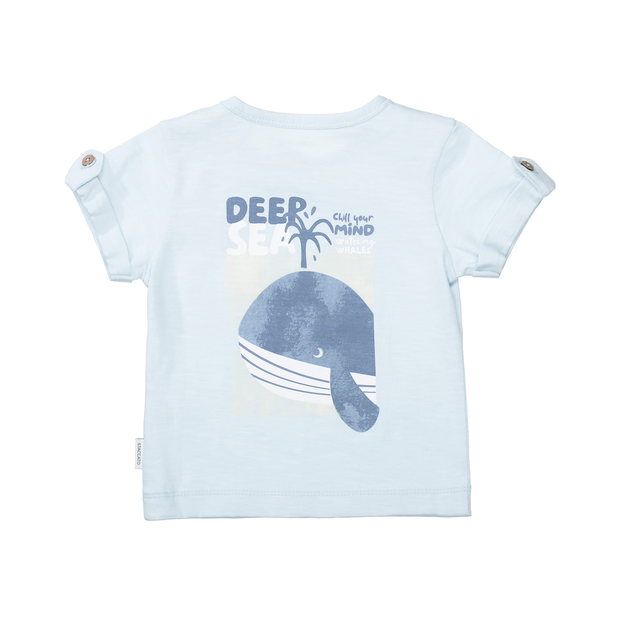 Kurzarmshirts, STACCATO, Blau – Besonderheit: aus 100% Baumwolle