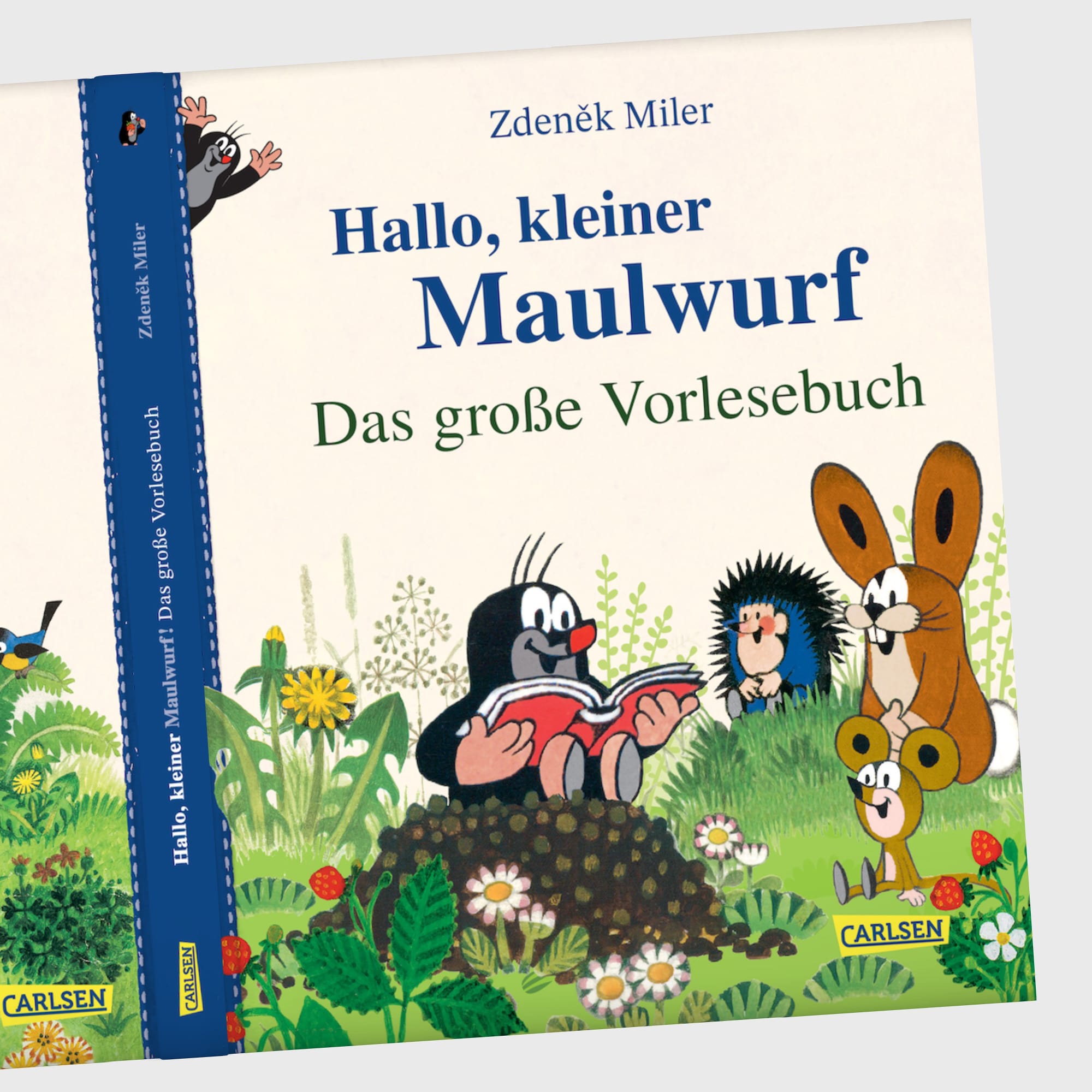 Kinderbücher, CARLSEN, Grün – Produktansicht