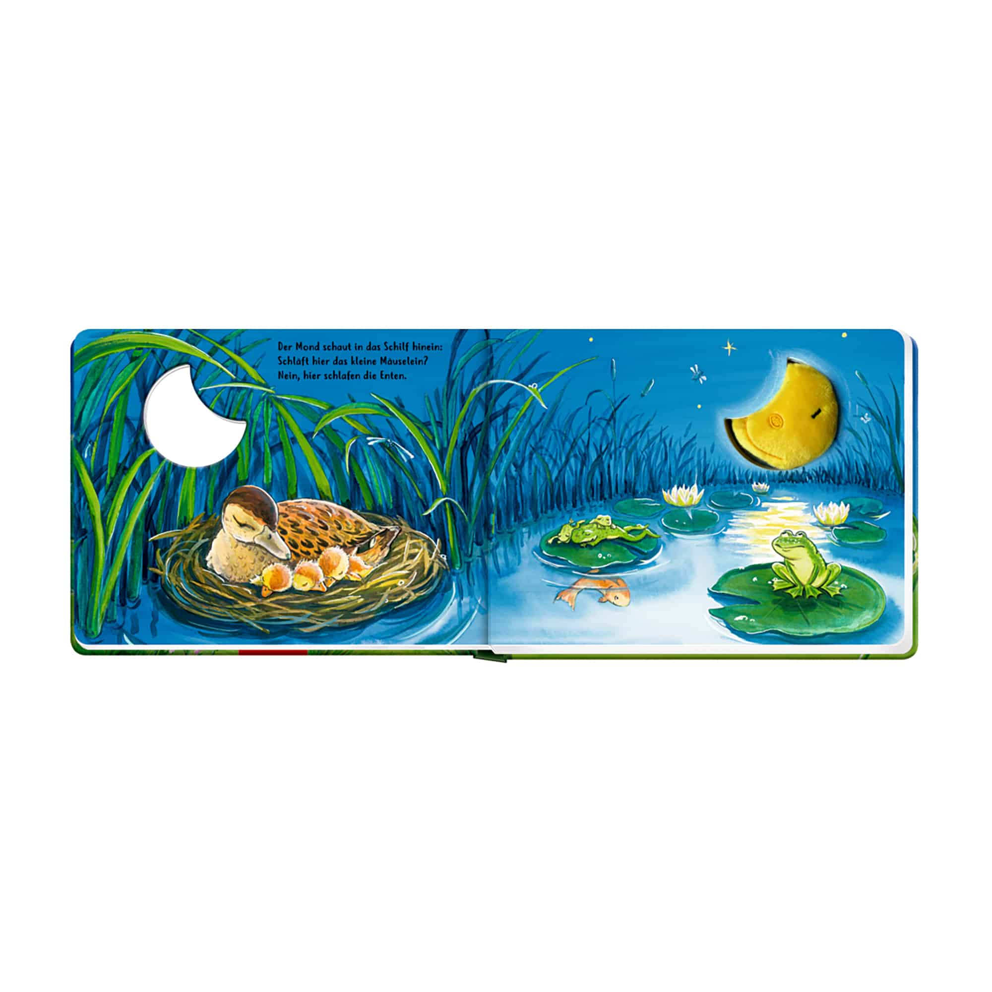 Bilderbücher, COPPENRATH, Blau – Produktansicht