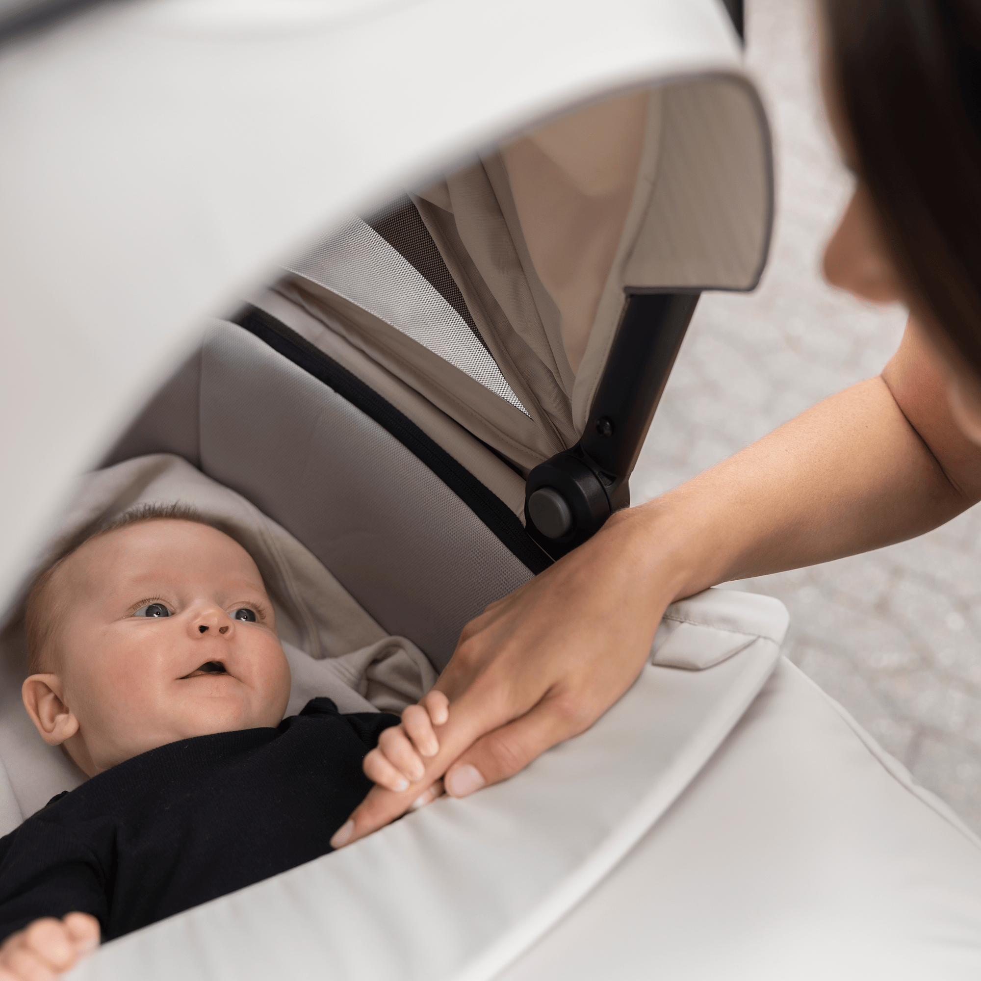 Tragewannen, THULE, Beige – Produktansicht