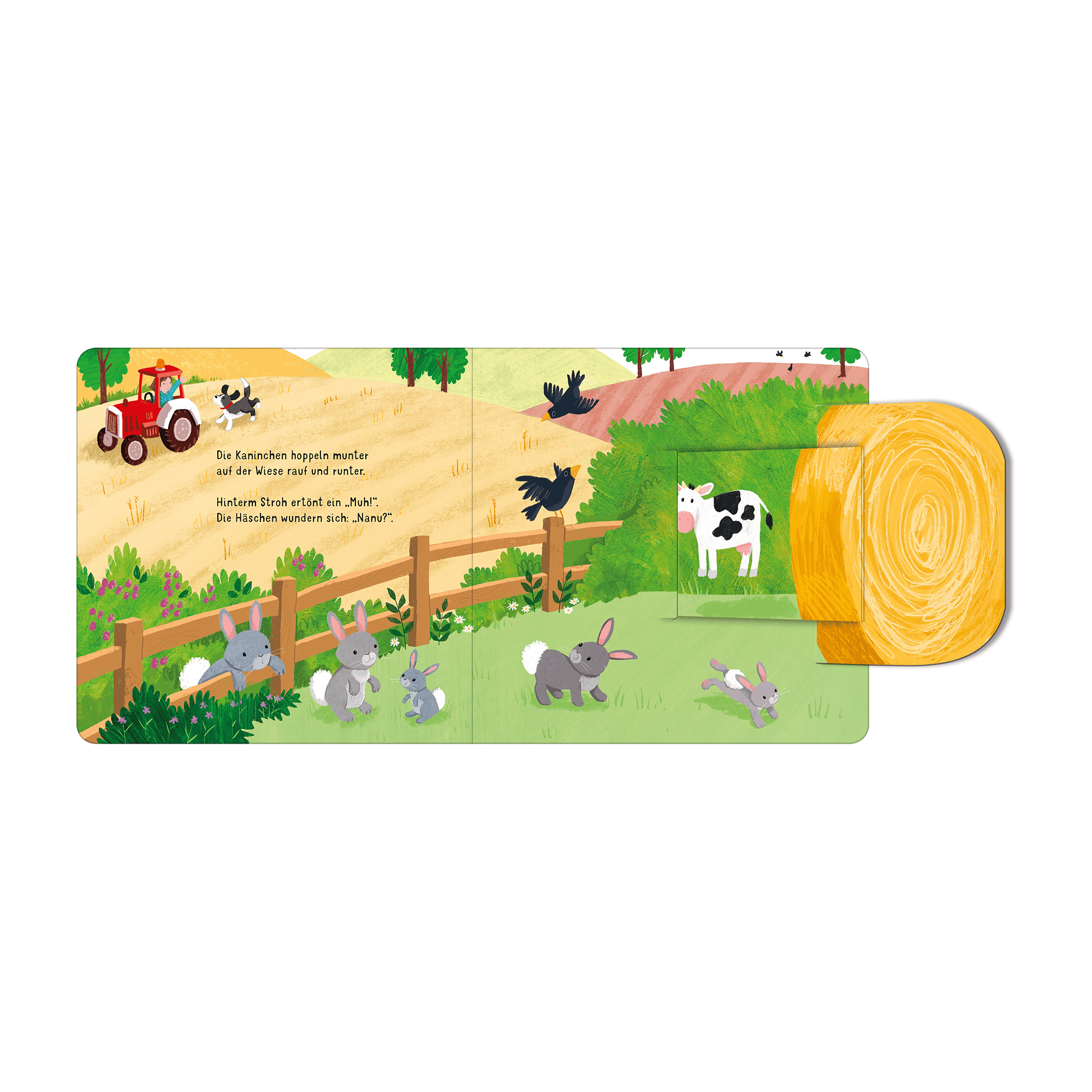 Bilderbücher, arsEdition – Produktansicht