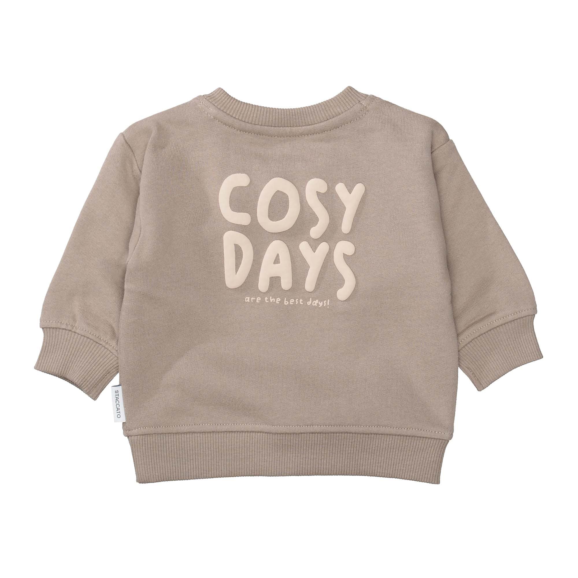 Pullover & Sweatshirts, STACCATO, Braun – Produktansicht