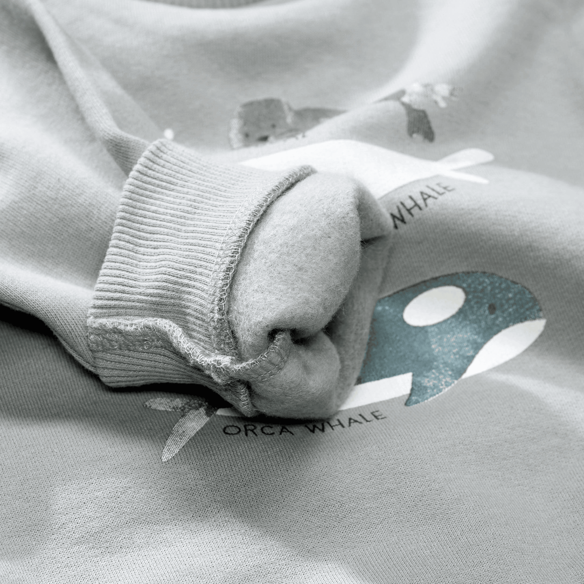Pullover & Sweatshirts, STACCATO – Produktansicht