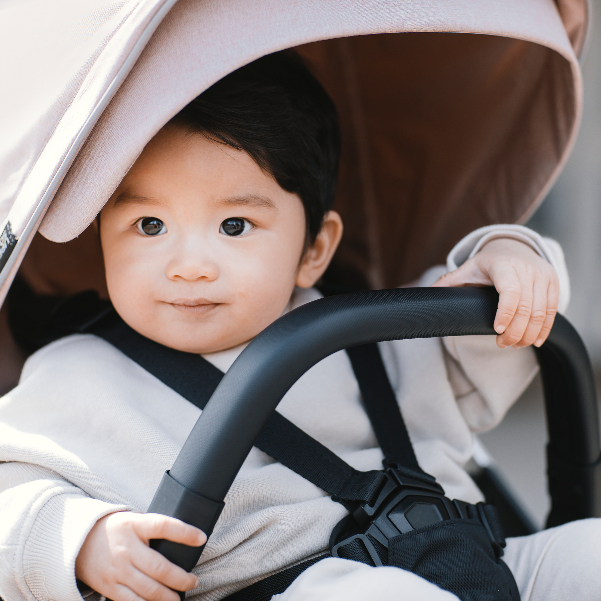 Sportwagen, THULE, Pink – Produktansicht