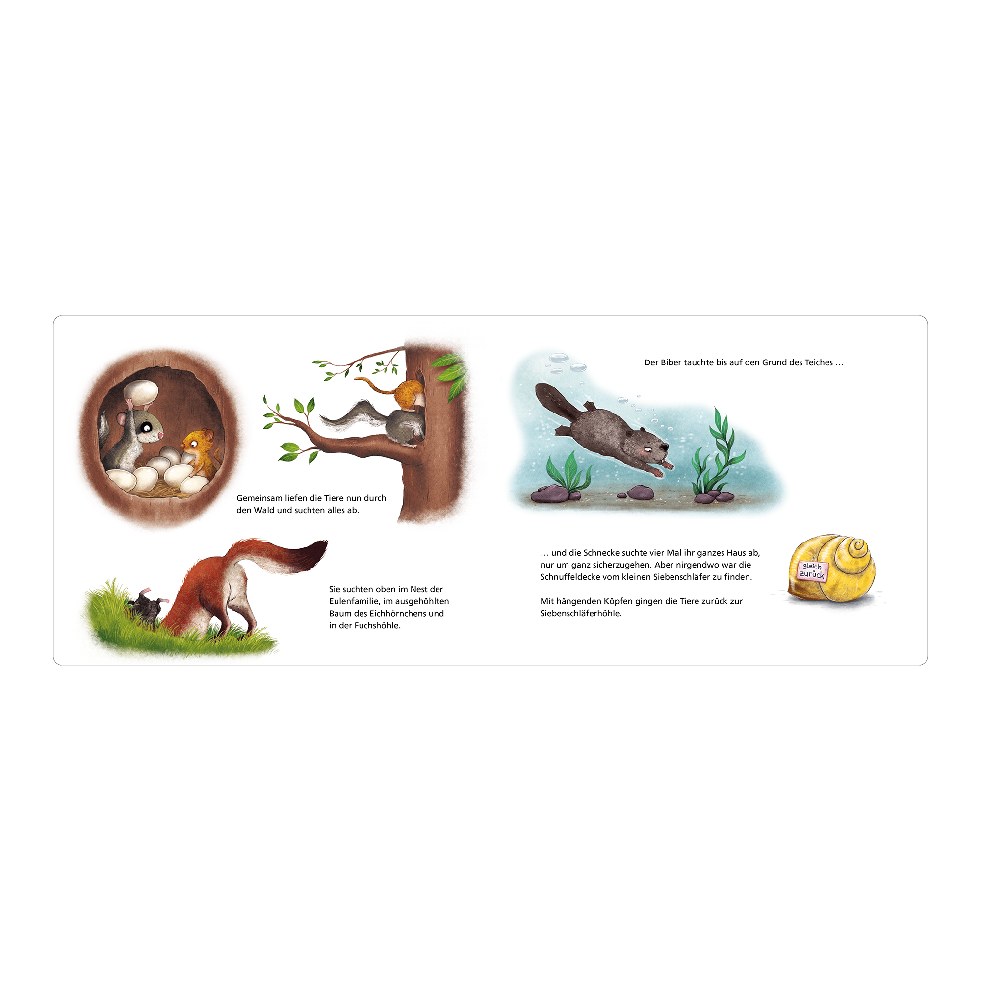 Bilderbücher, THIENEMANN – Produktansicht