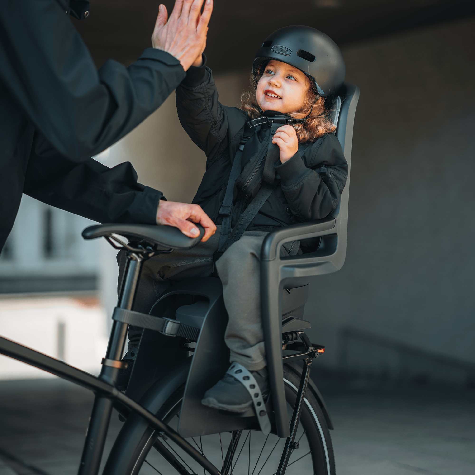 Fahrradsitze, THULE, Grau – Produktansicht