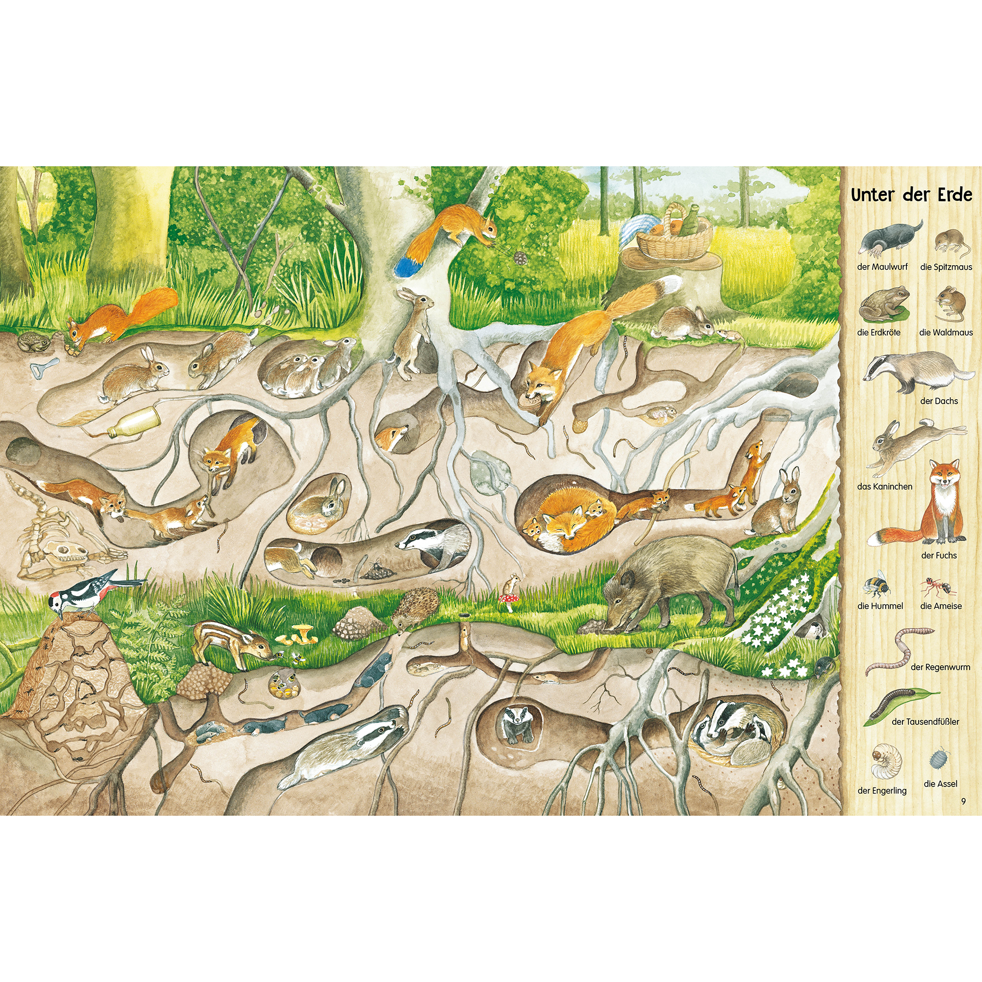 Wimmelbücher, ess!inger, Grün – Produktansicht