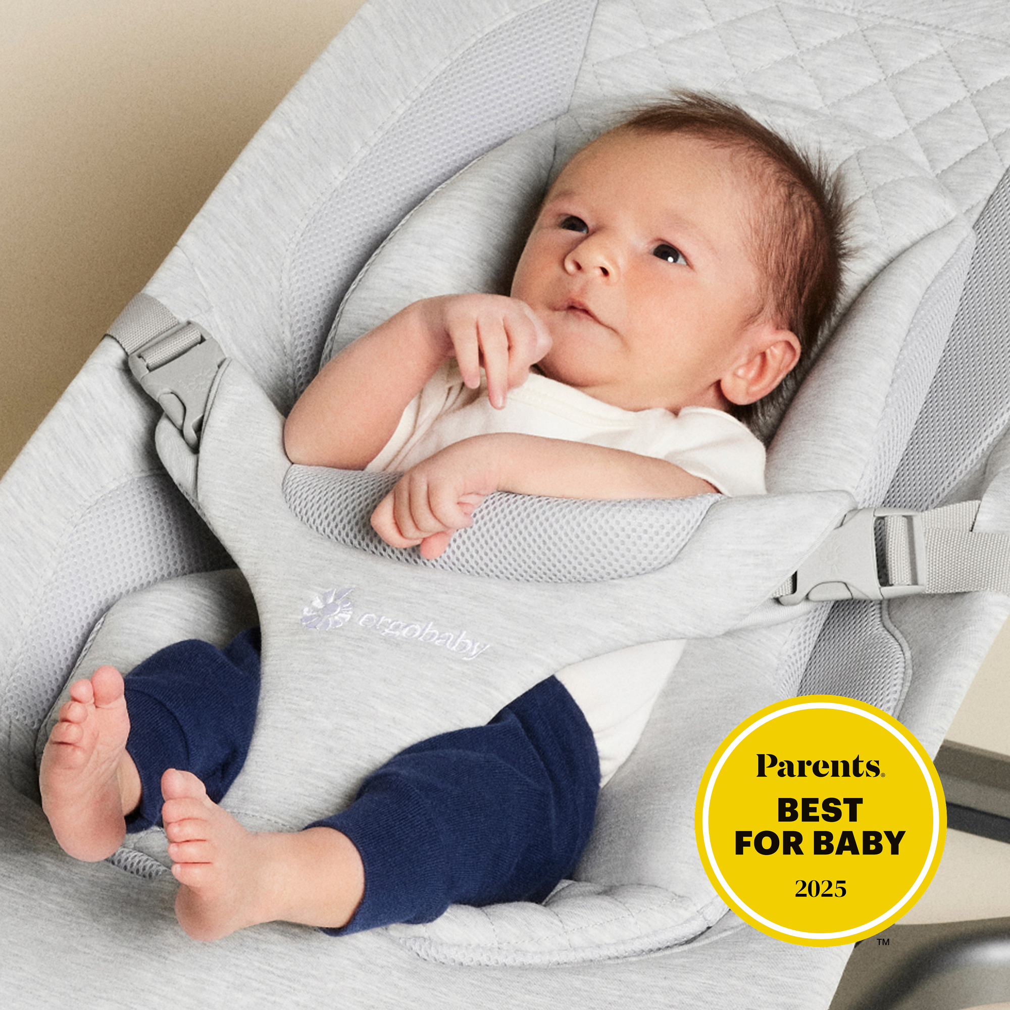 Wippen, ERGObaby, Grau – Besonderheit: Babywippe für Kinder ab Geburt bis ca. 3 Jahre (2,5 – 13,2 kg)