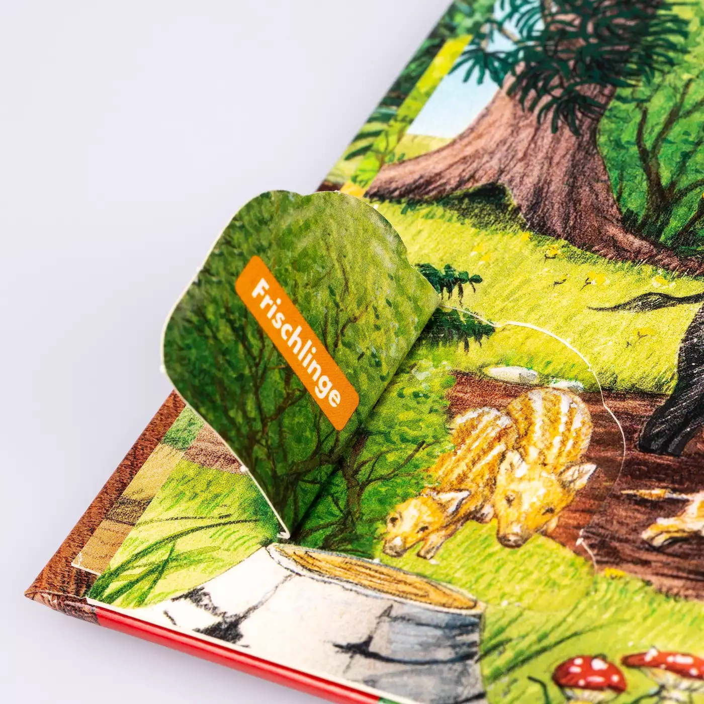 Kinderbücher, CARLSEN, Grün – Produktansicht