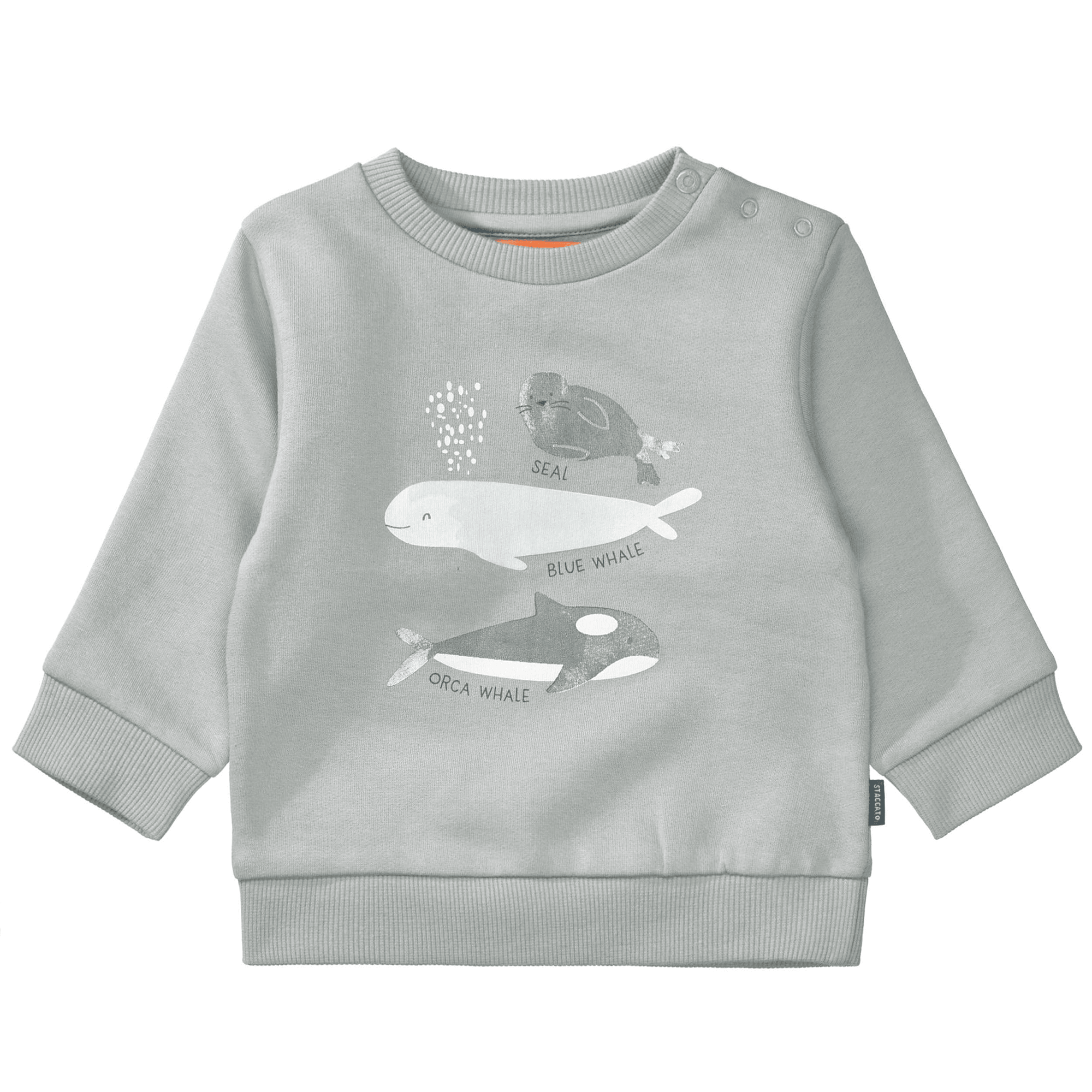 Pullover & Sweatshirts, STACCATO – Produktansicht