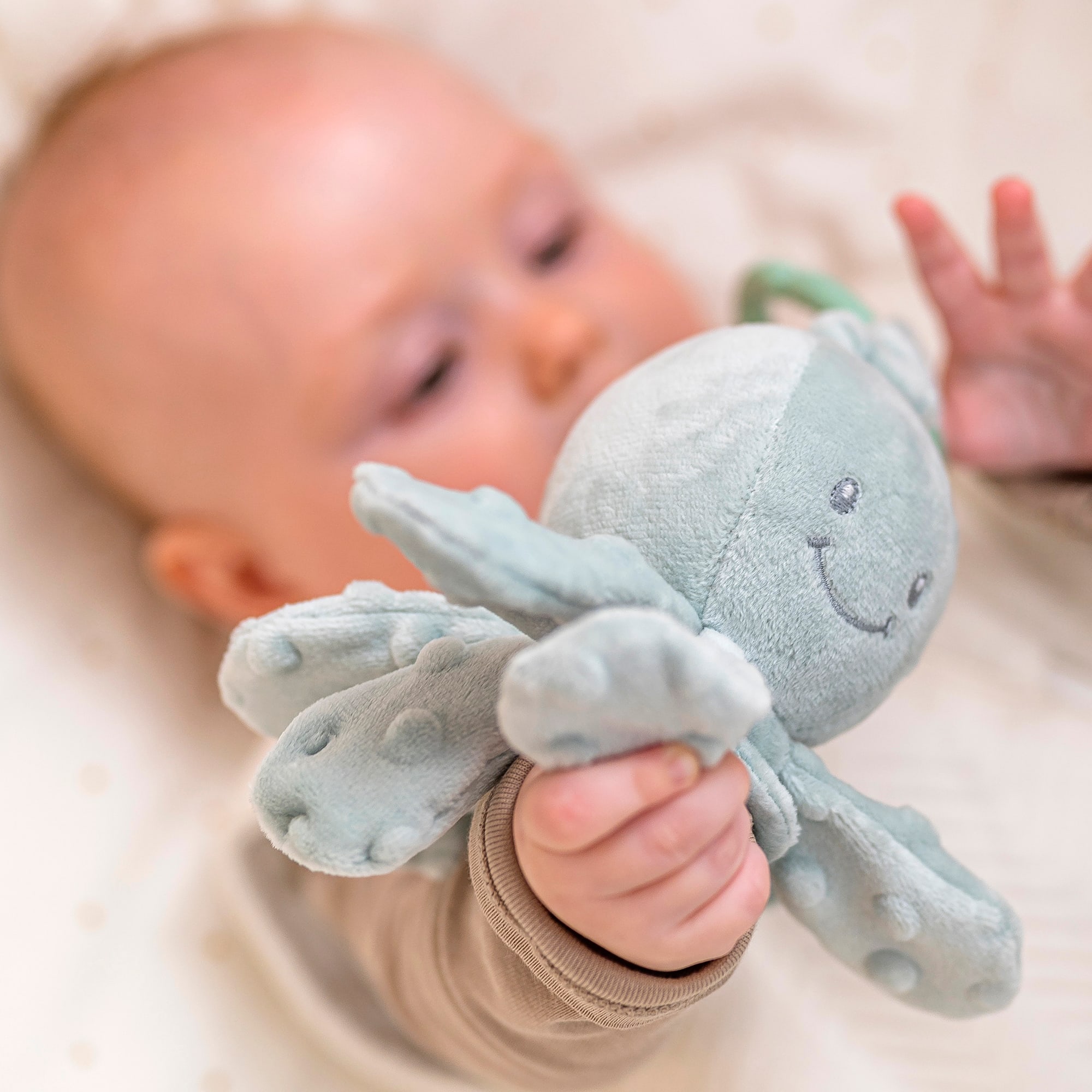 Kuscheltiere, Nattou, Grün – Produktansicht