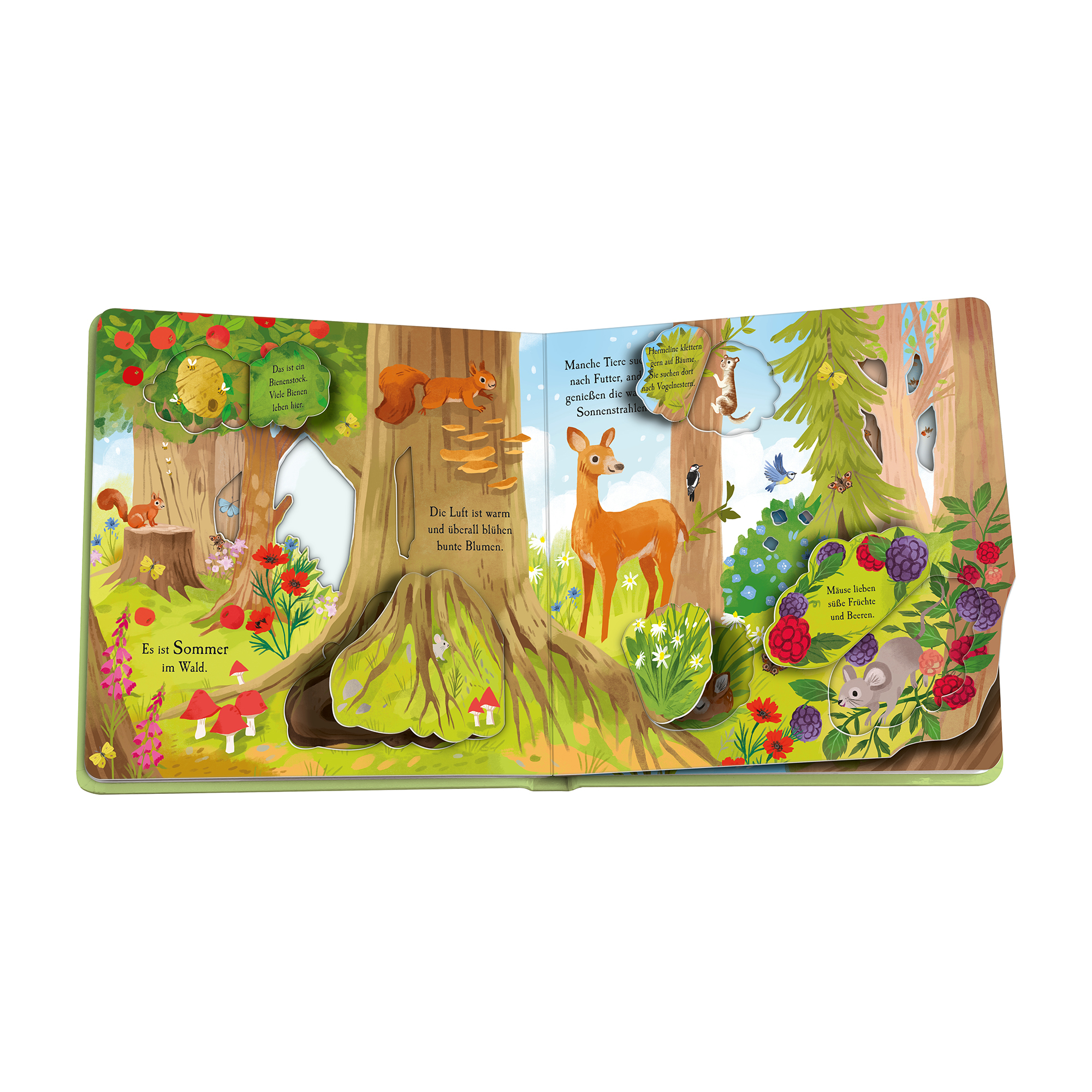 Kindersachbücher, Ravensburger – Produktansicht