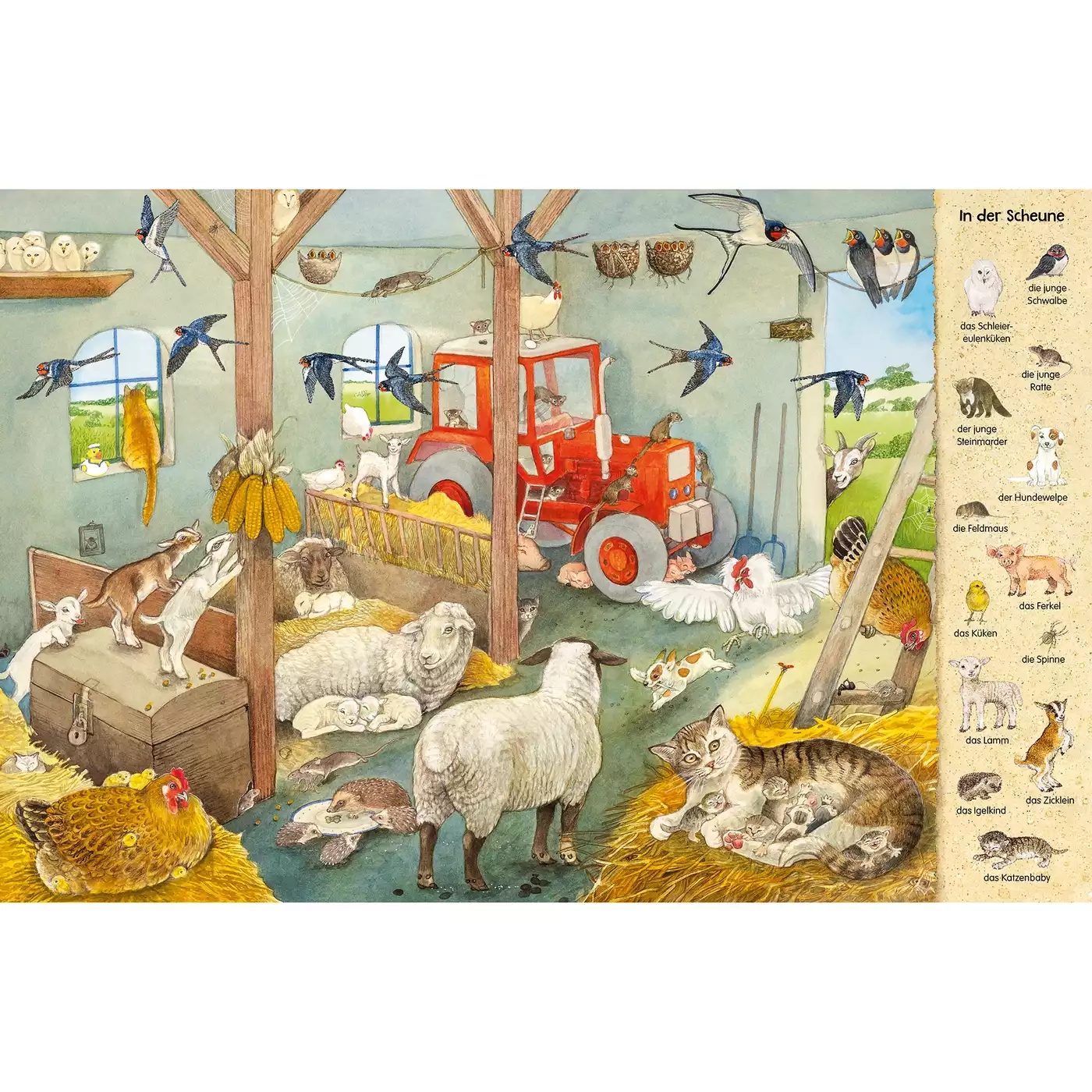 Kinderbücher, ess!inger, Grün – Produktansicht