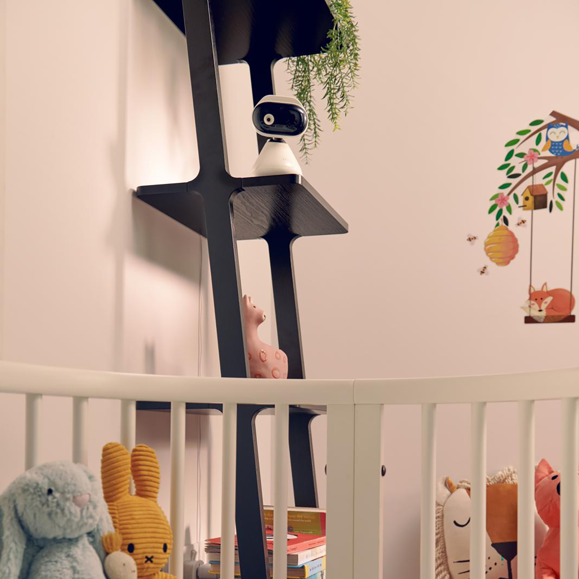 Video Babyphone, motorola, Schwarz – Besonderheit: 2,8 Zoll Farbdisplay