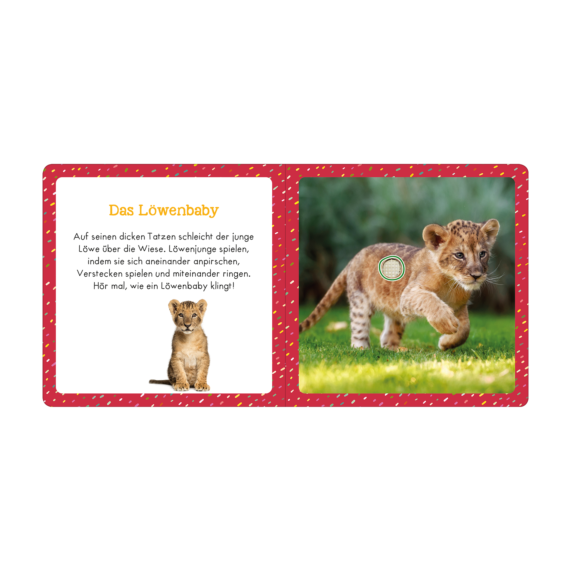 Soundbücher, arsEdition, Mehrfarbig – Besonderheit: ideal für erste spielerische Begegnungen mit der Tierwelt