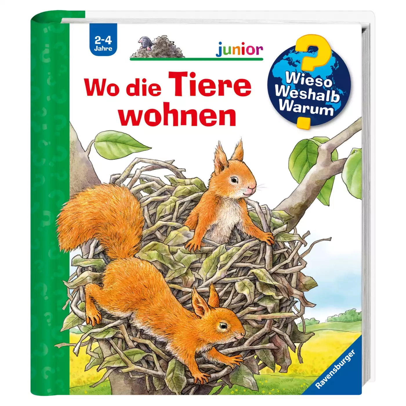 Kinderbücher, Ravensburger, Mehrfarbig – Produktansicht