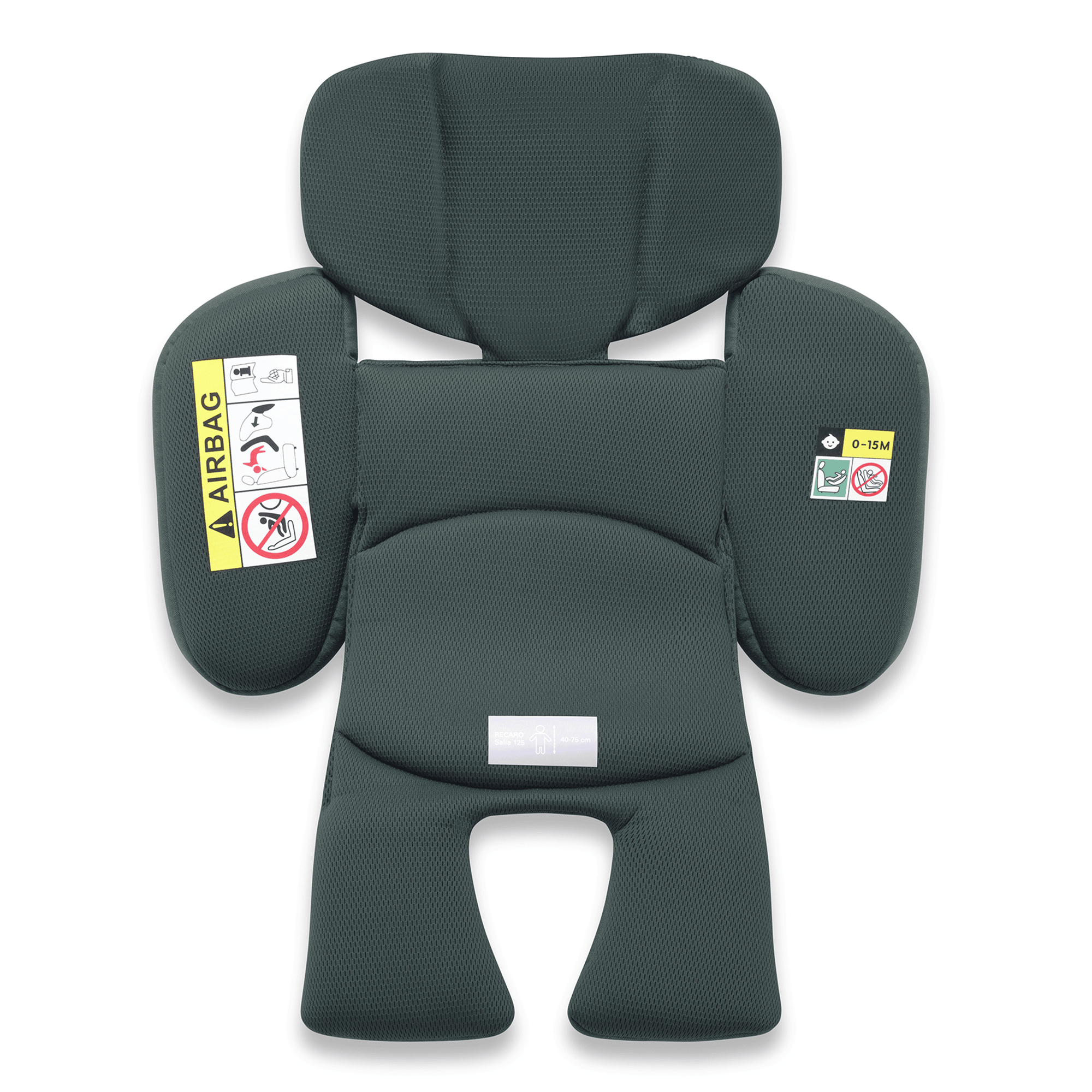 Reboarder 0-18 kg, Gruppe 0+/1, RECARO – Produktansicht