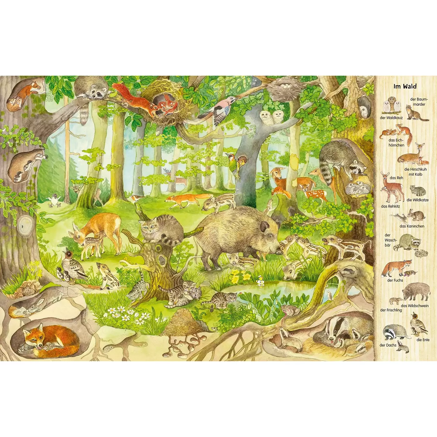 Kinderbücher, ess!inger, Grün – Produktansicht