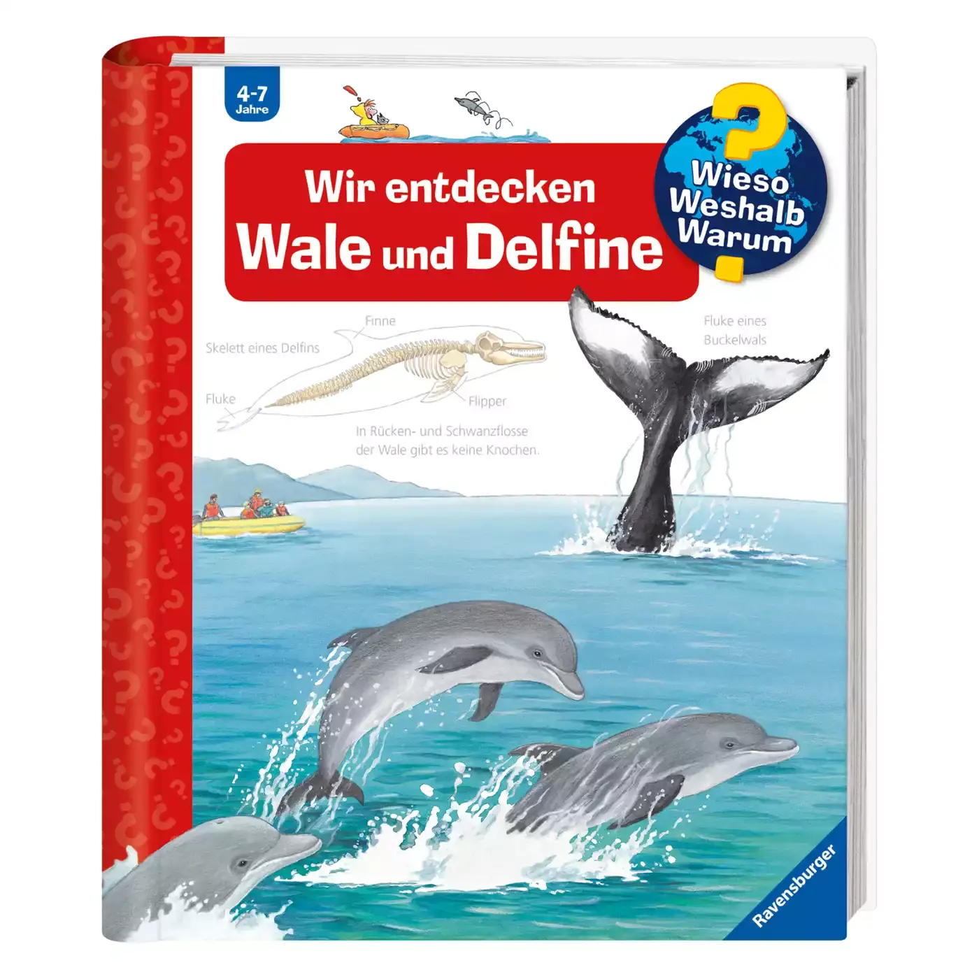 WWW Wir entdecken Wale und Delfine Ravensburger Rot 2000530008307 3