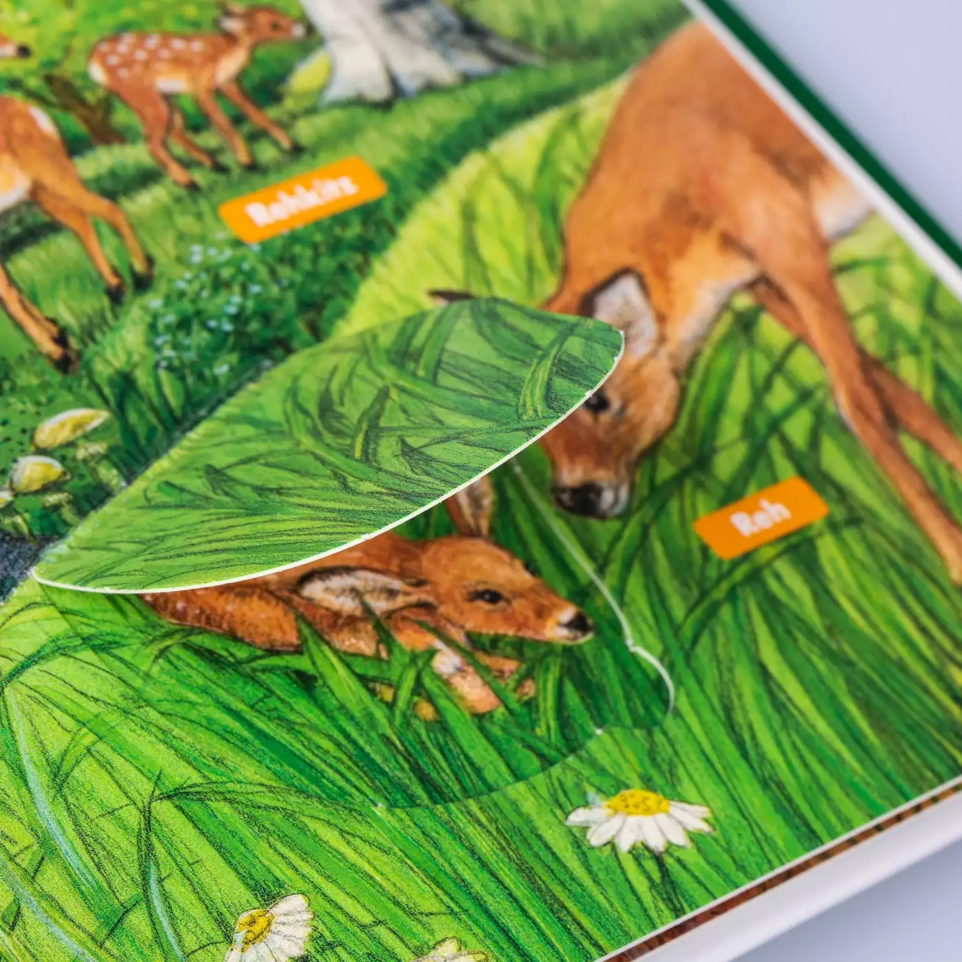 Kinderbücher, CARLSEN, Grün – Produktansicht