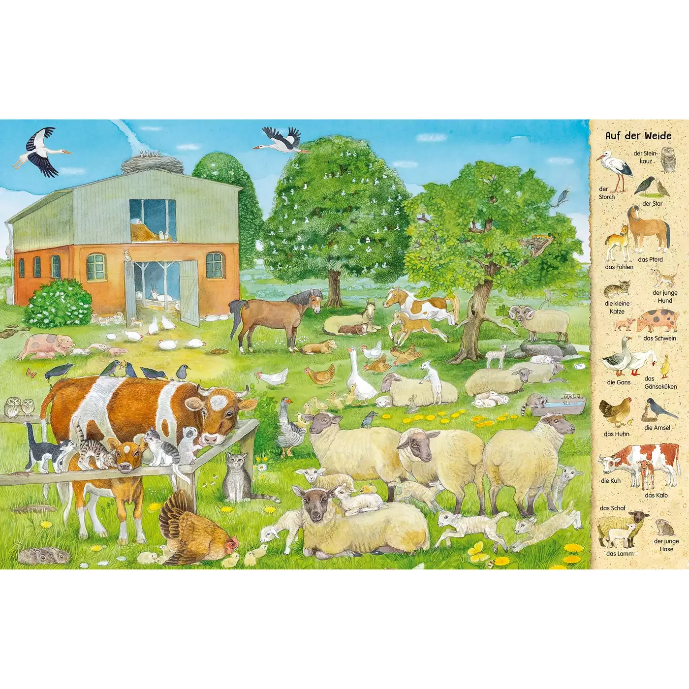 Kinderbücher, ess!inger, Grün – Produktansicht