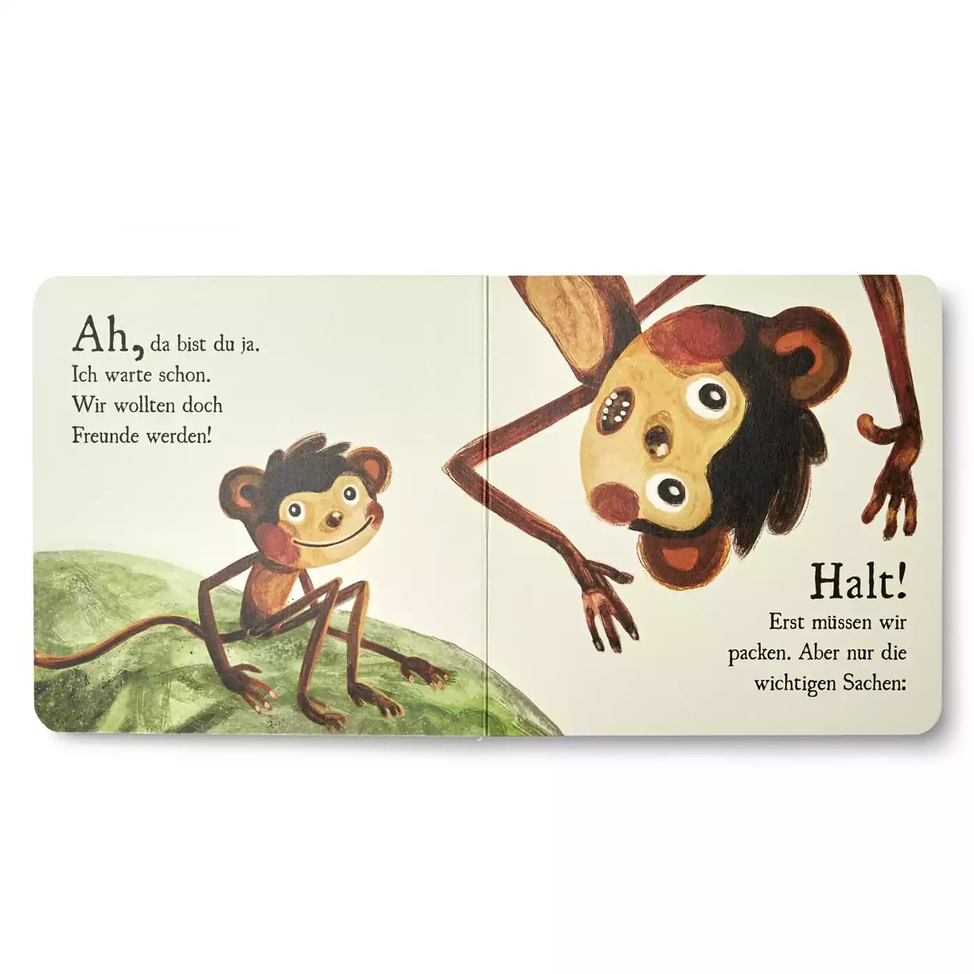 Kinderbücher, Affenzahn, Mehrfarbig – Produktansicht