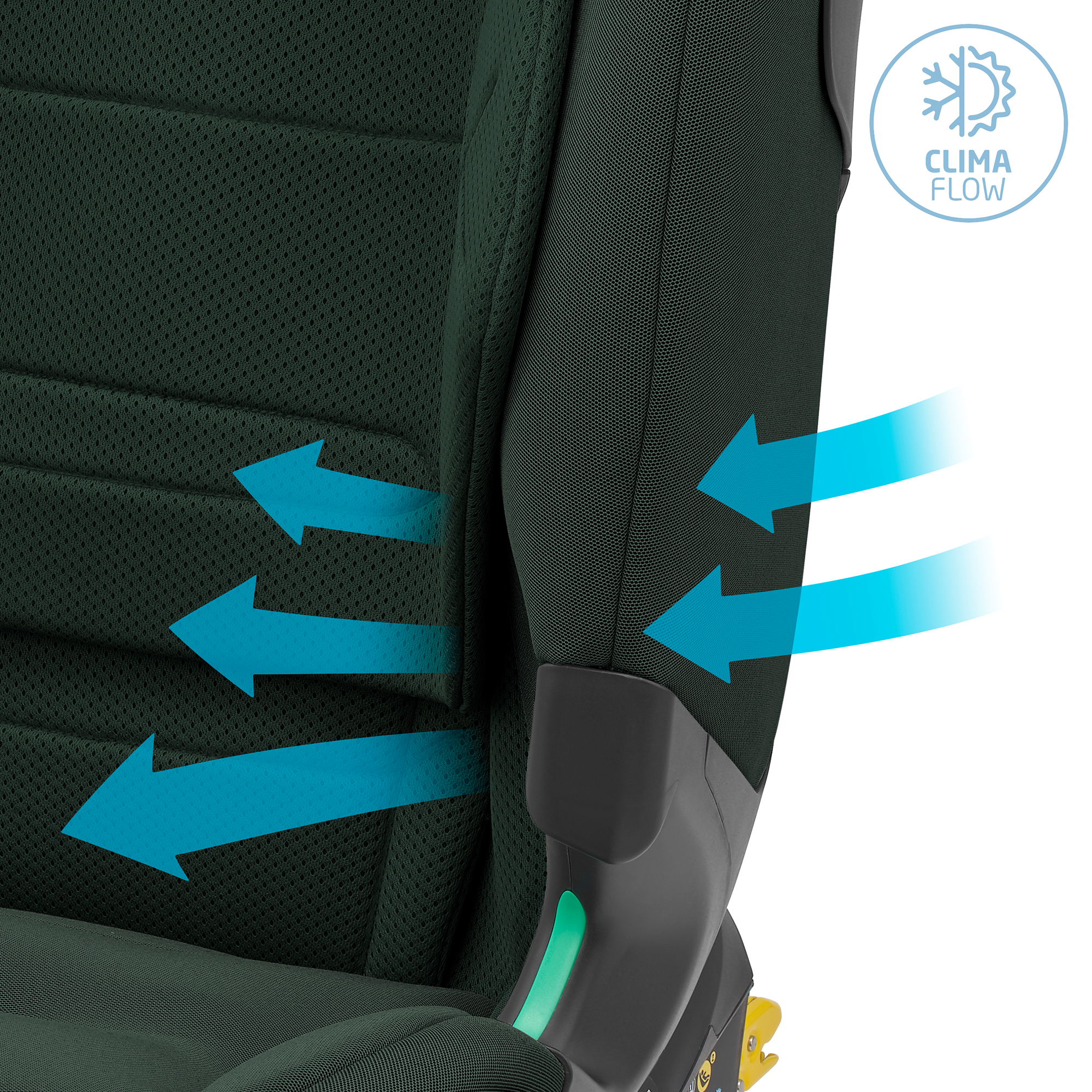 Kindersitze 9-36 kg, Gruppe 1/2/3, MAXI-COSI, Grün – Produktansicht