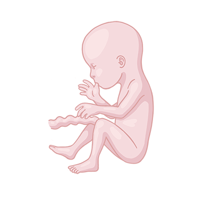 Baby ein, das auf dem boden sitzt.